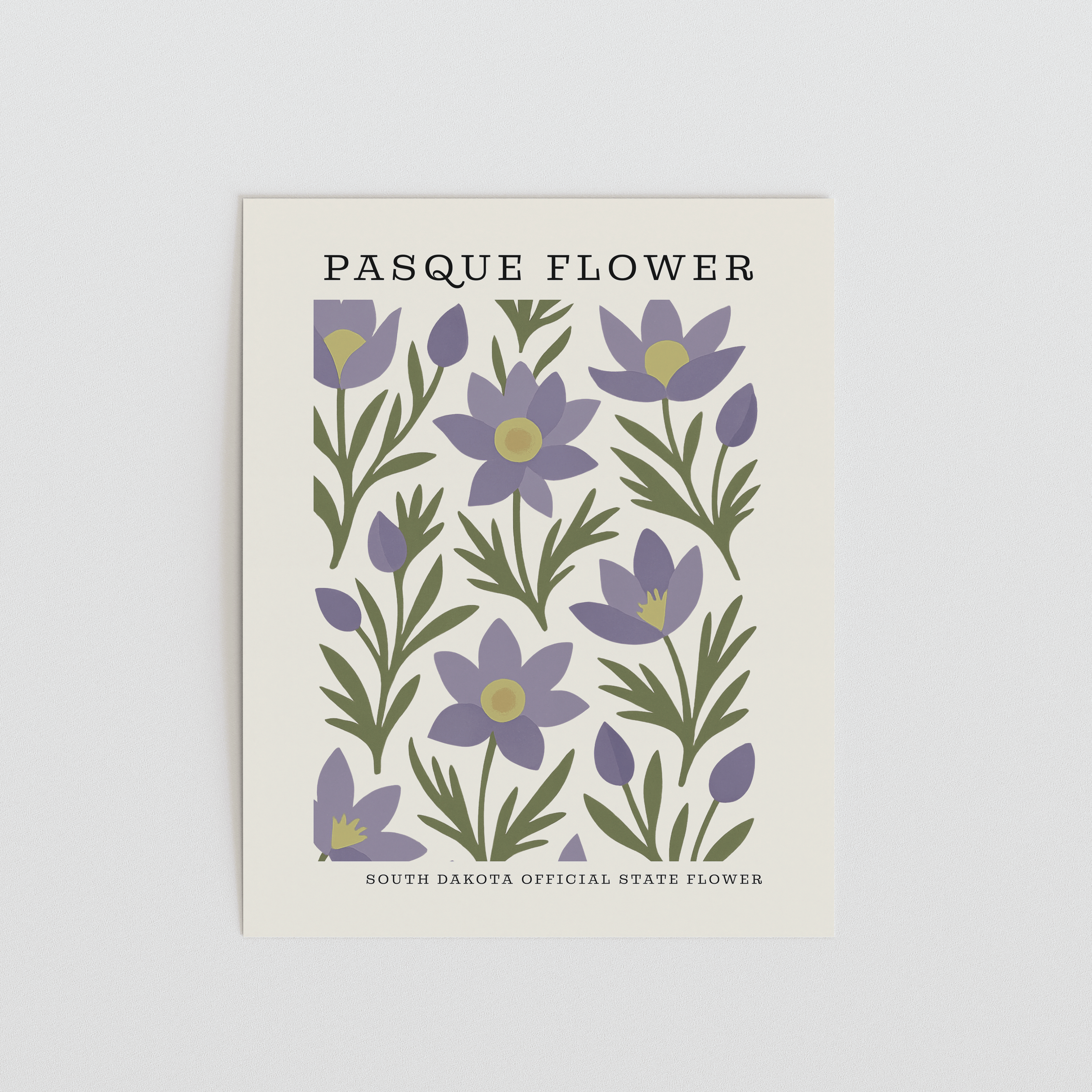 South Dakota State Flower Art Print – Pasque Flower