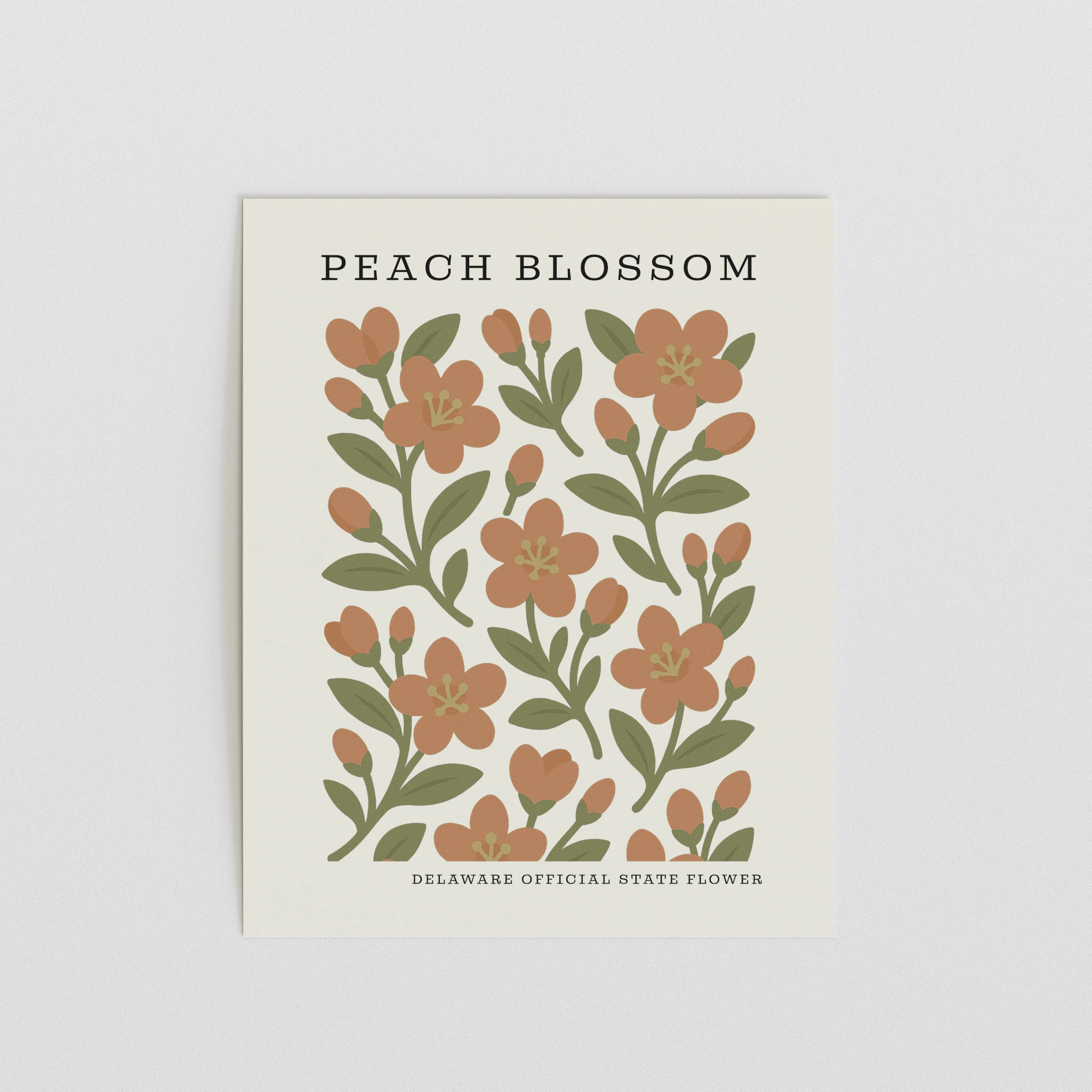 Delaware State Flower Art Print – Peach Blossom - The FlatFile Society
