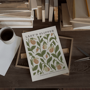 Minnesota State Flower Art Print – Pink and White Lady's Slipper - The FlatFile Society