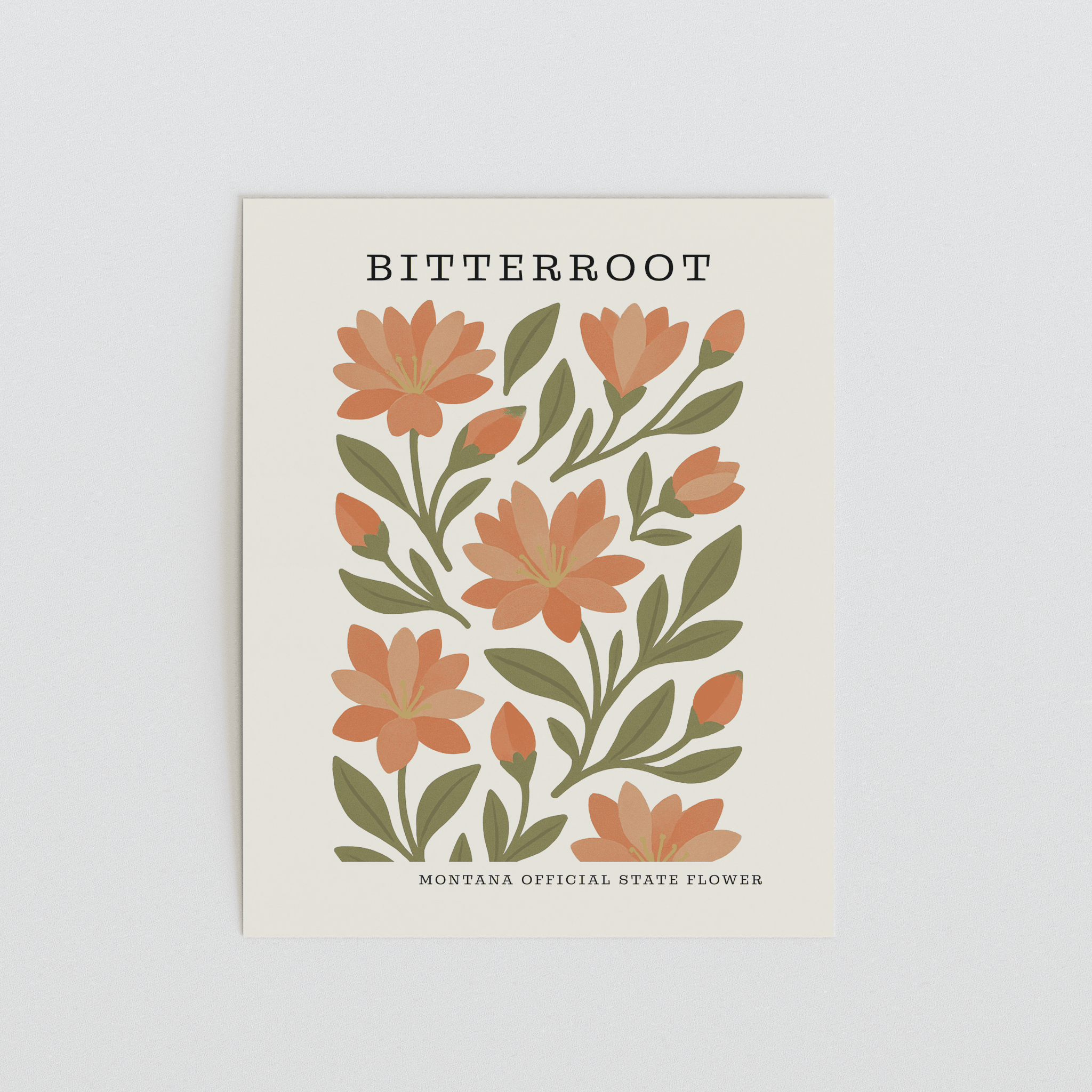 Montana State Flower Art Print – Bitterroot - The FlatFile Society