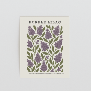 New Hampshire State Flower Art Print – Purple Lilac - The FlatFile Society