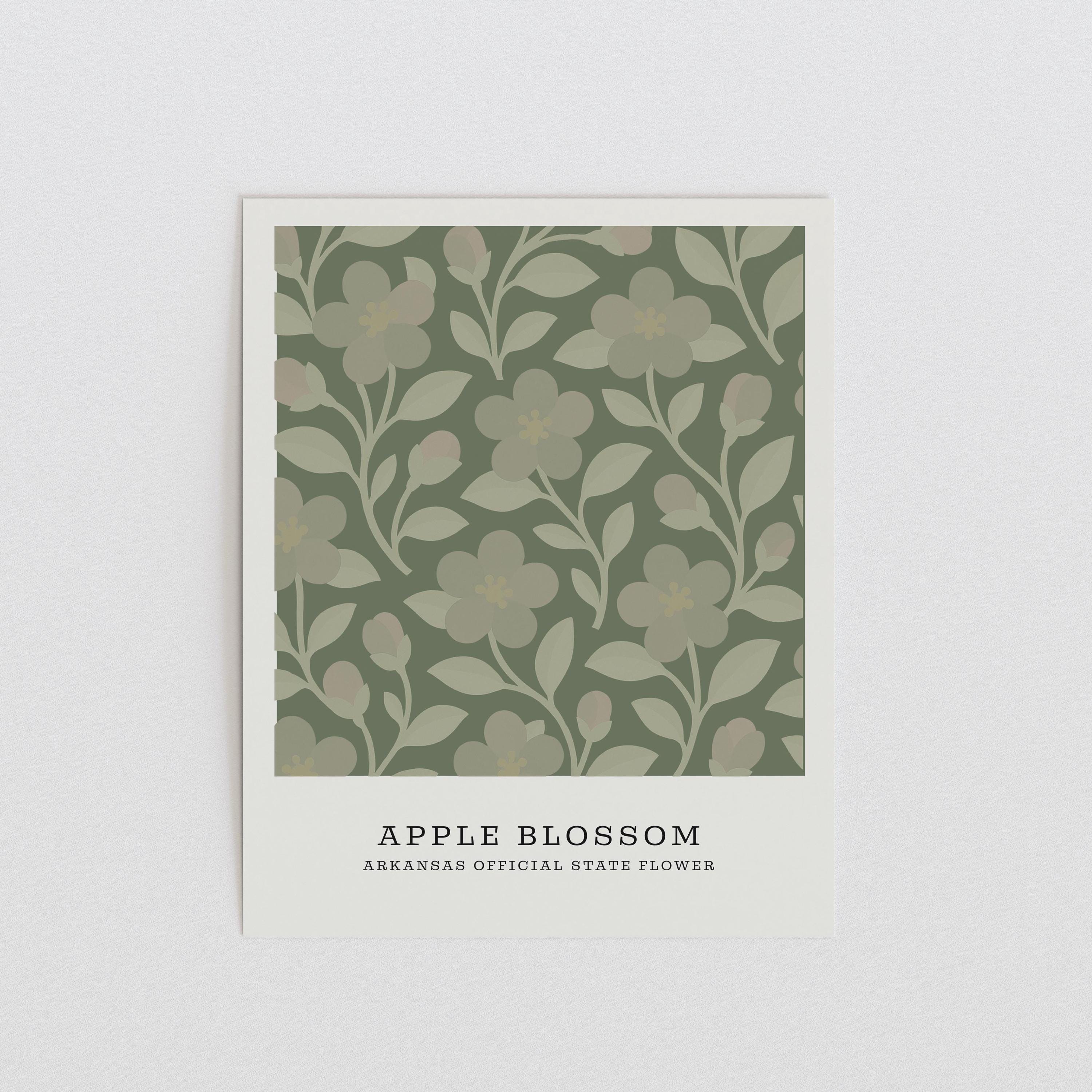 Arkansas state flower art print, apple blossom