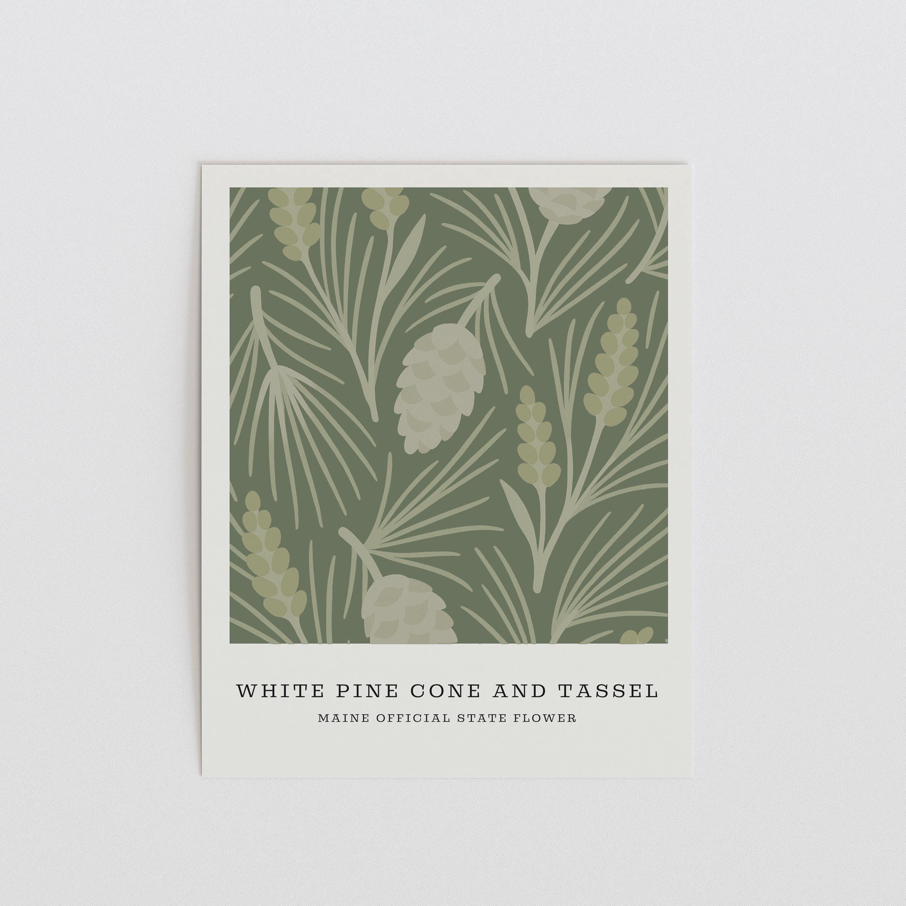 Maine state flower art print, white pine cone and tassel