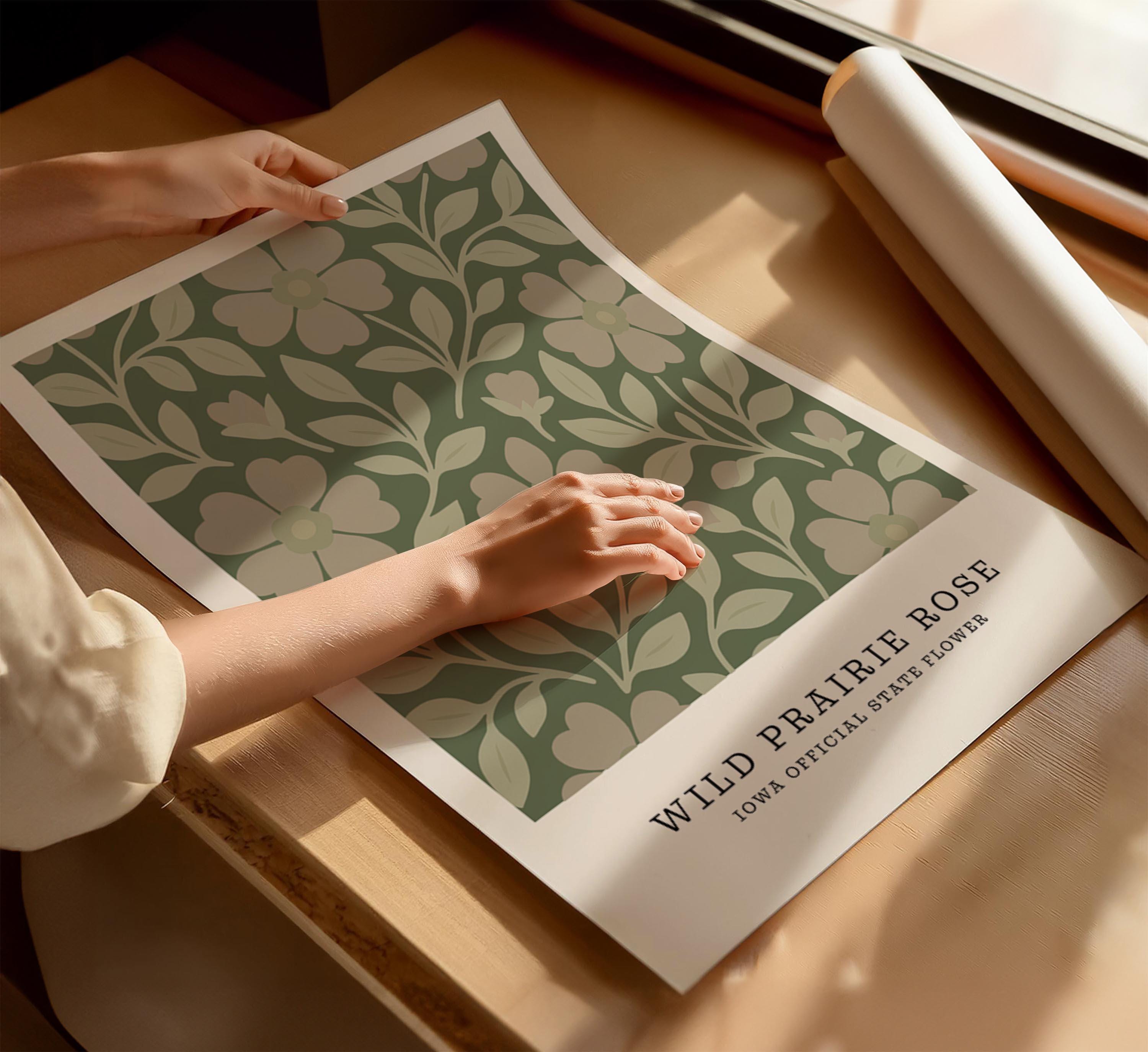 Iowa state flower art print, wild prairie rose