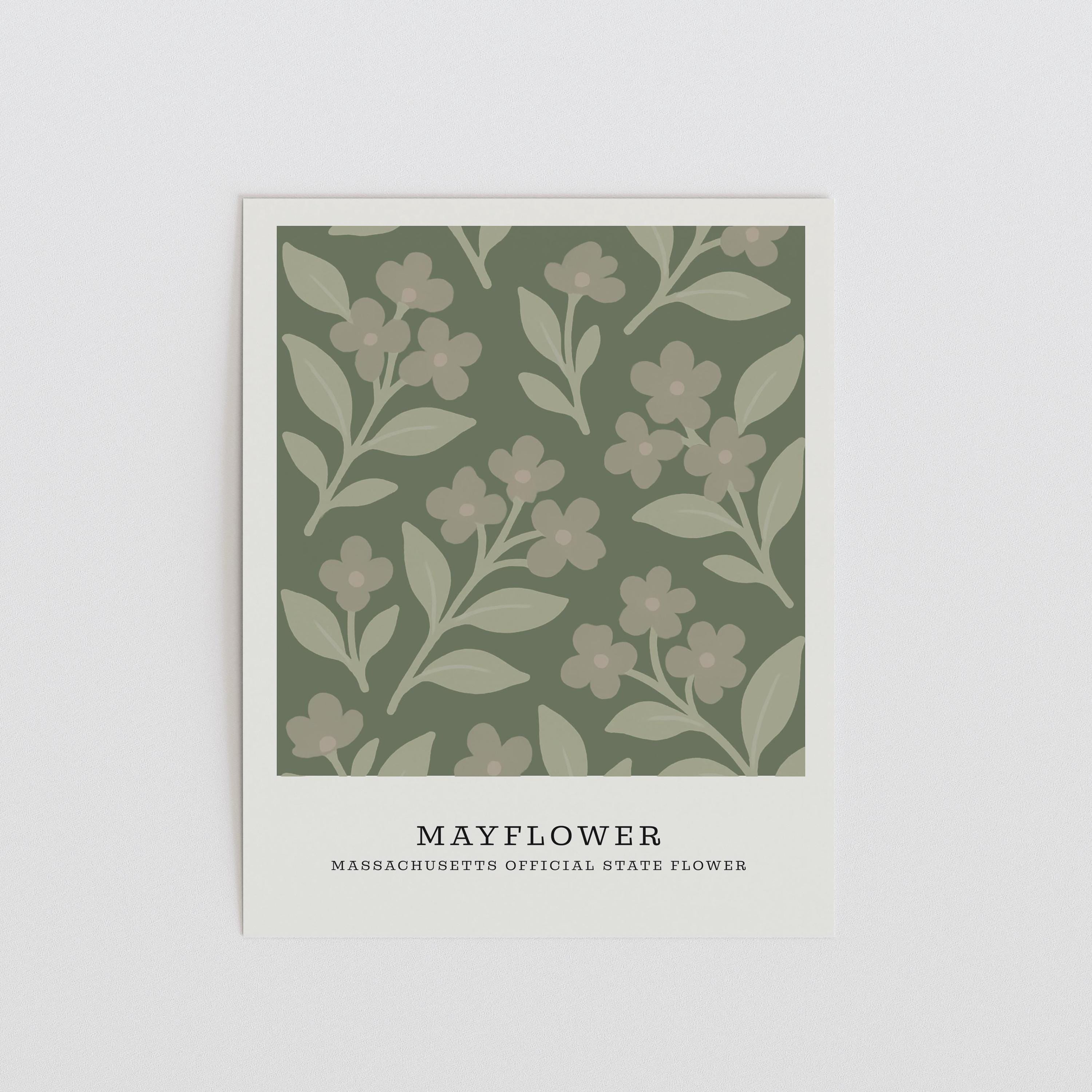 Massachusetts state flower art print, mayflower