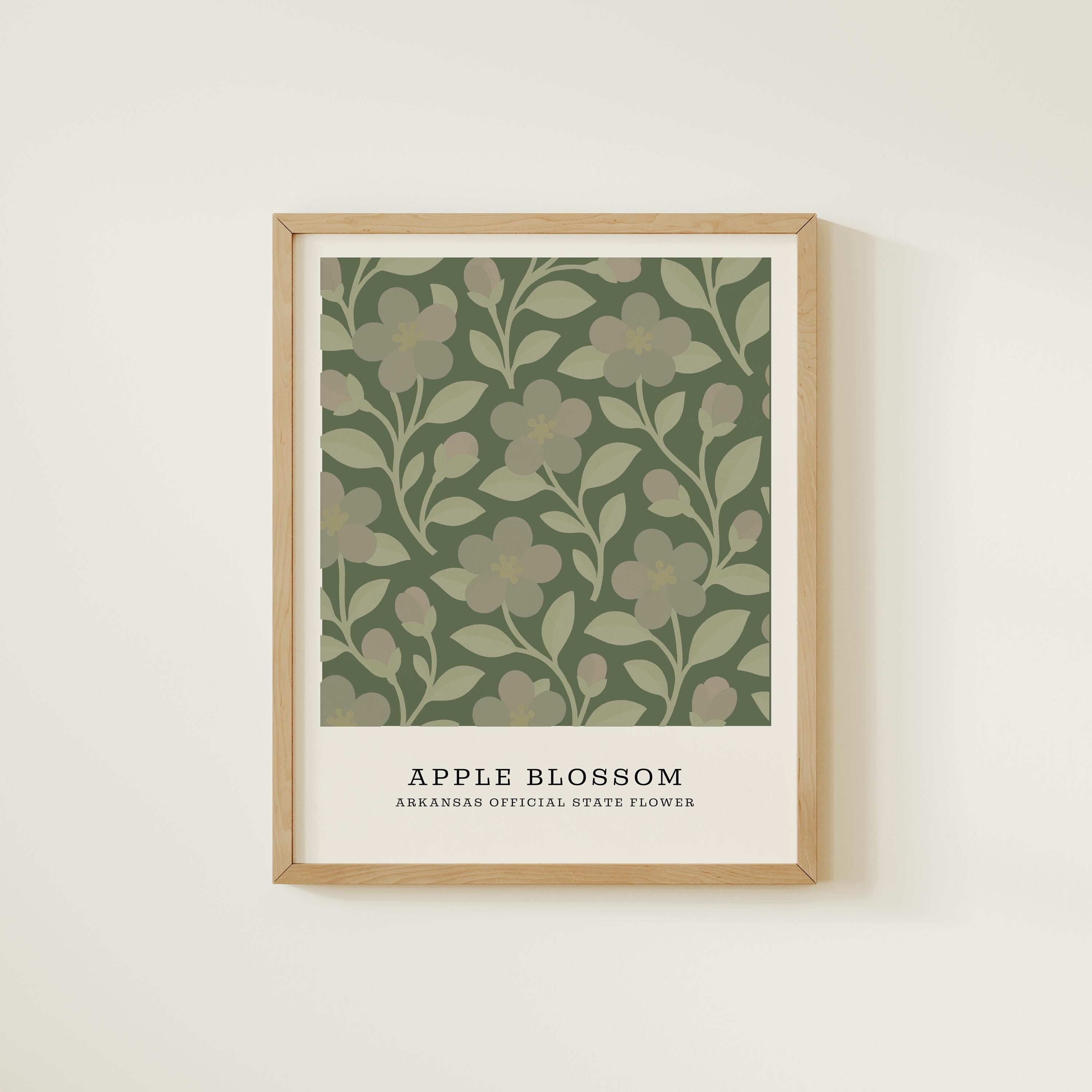 Arkansas state flower art print, apple blossom