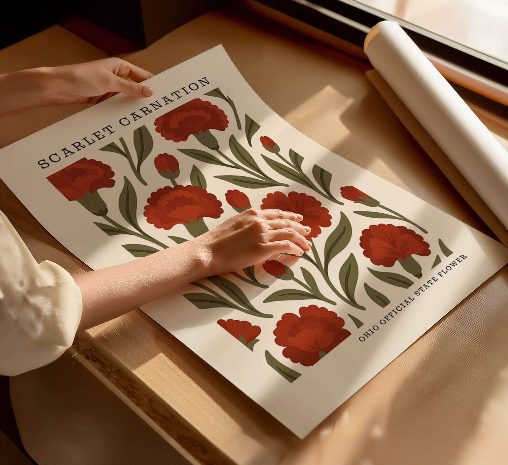 Ohio state flower art print, scarlet carnation