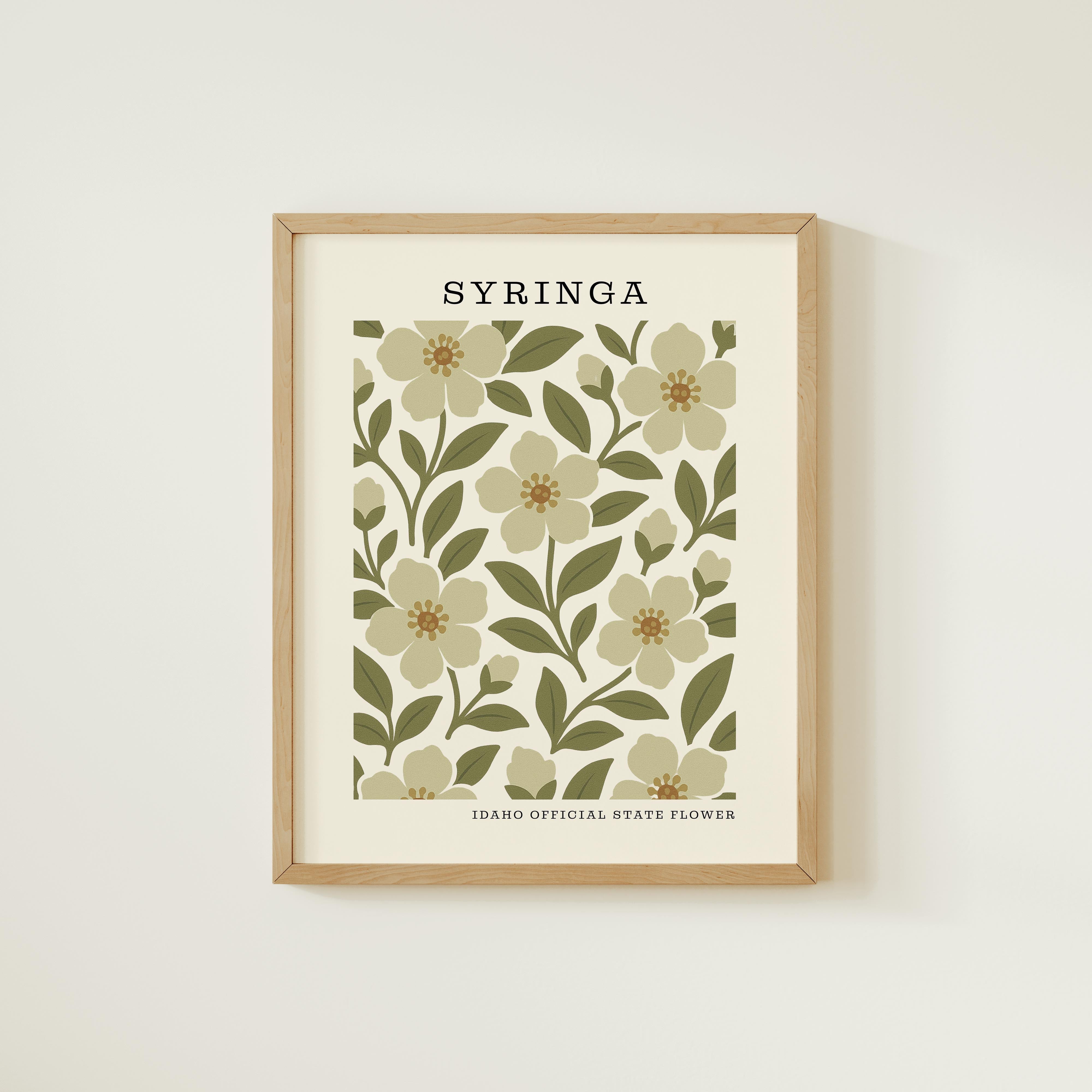 The image is a framed print featuring a repeating pattern of white flowers with green leaves, with the text "SYRINGA" prominently displayed above the pattern.