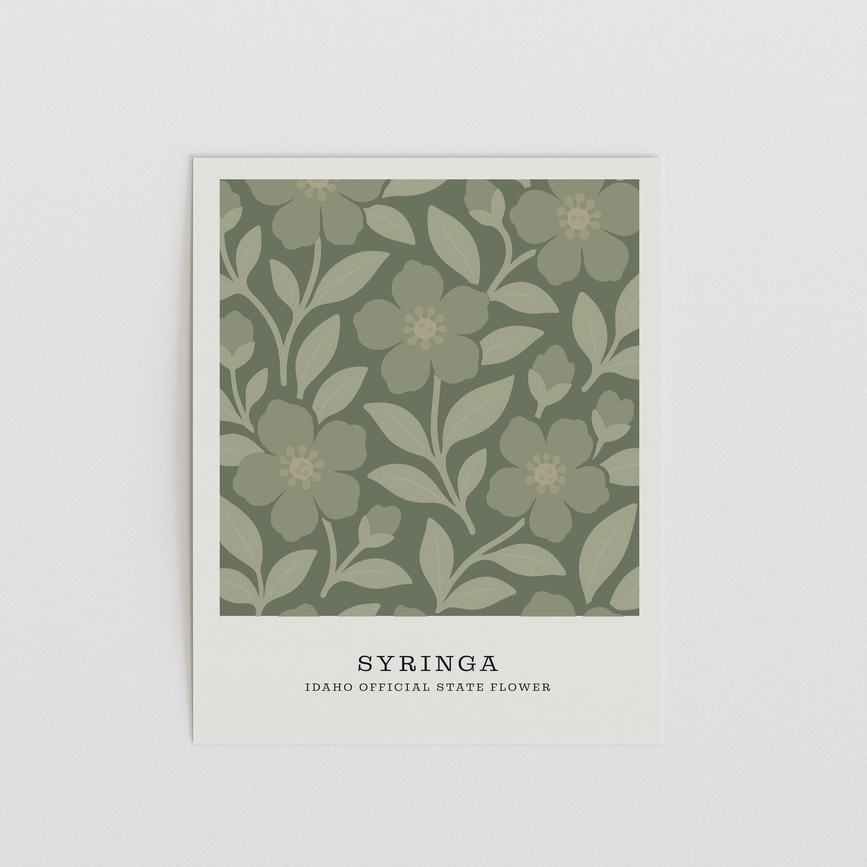 Idaho state flower art print, syringa