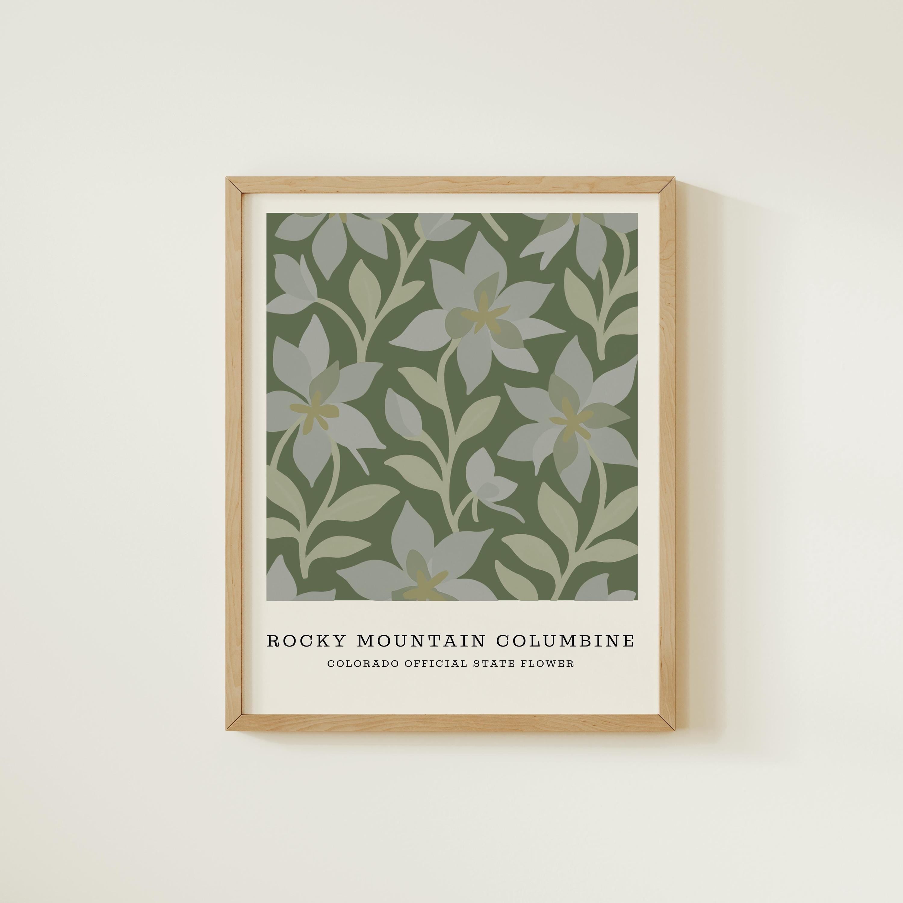 Colorado state flower art print, Rocky Mountain columbine