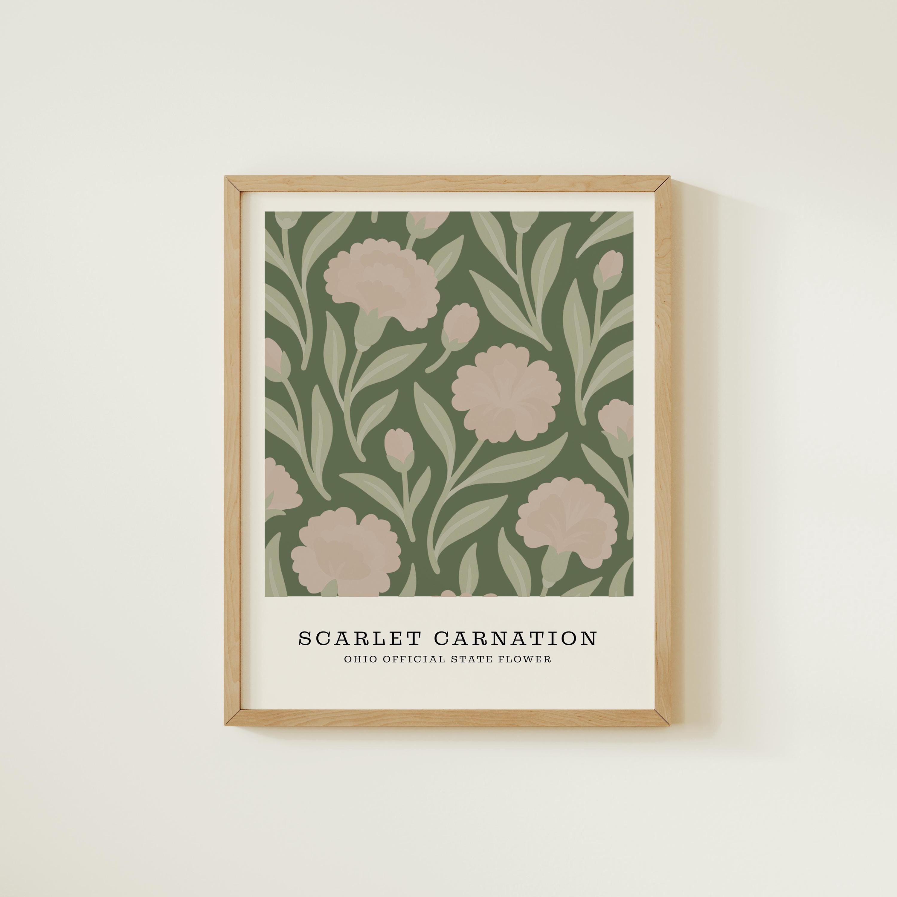 Ohio state flower art print, scarlet carnation