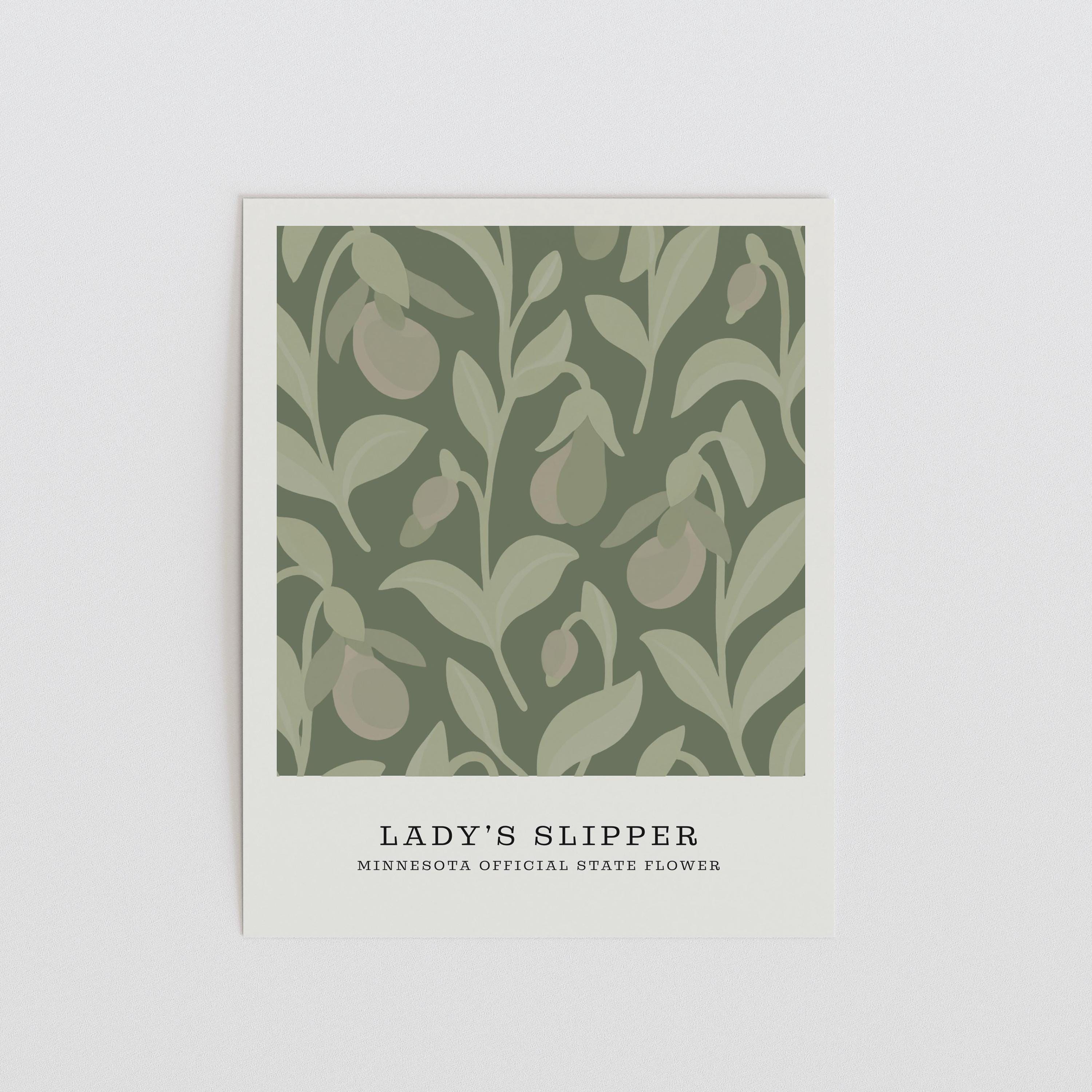Minnesota state flower art print, pink and white lady's slipper