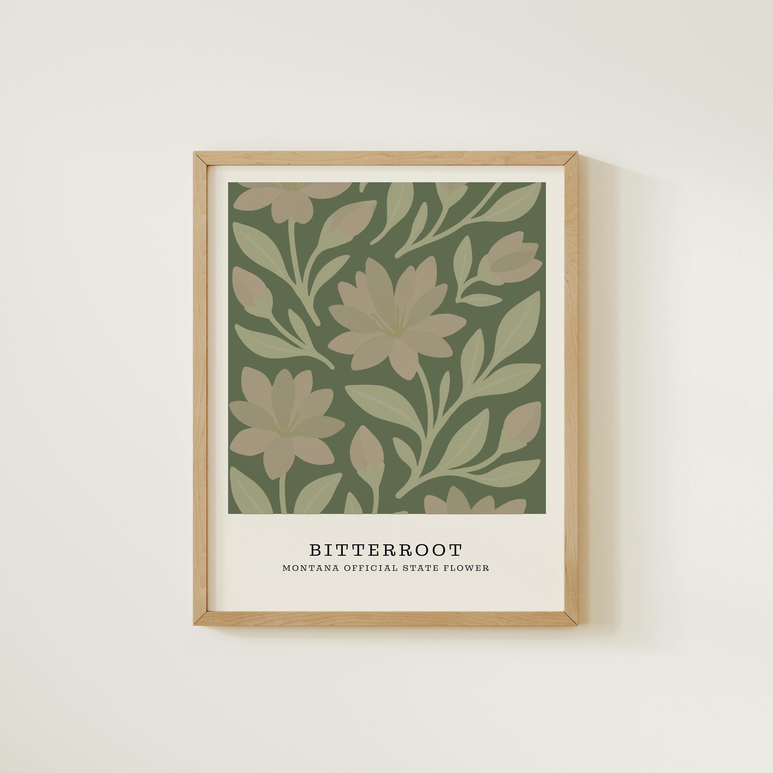 Montana state flower art print, bitterroot