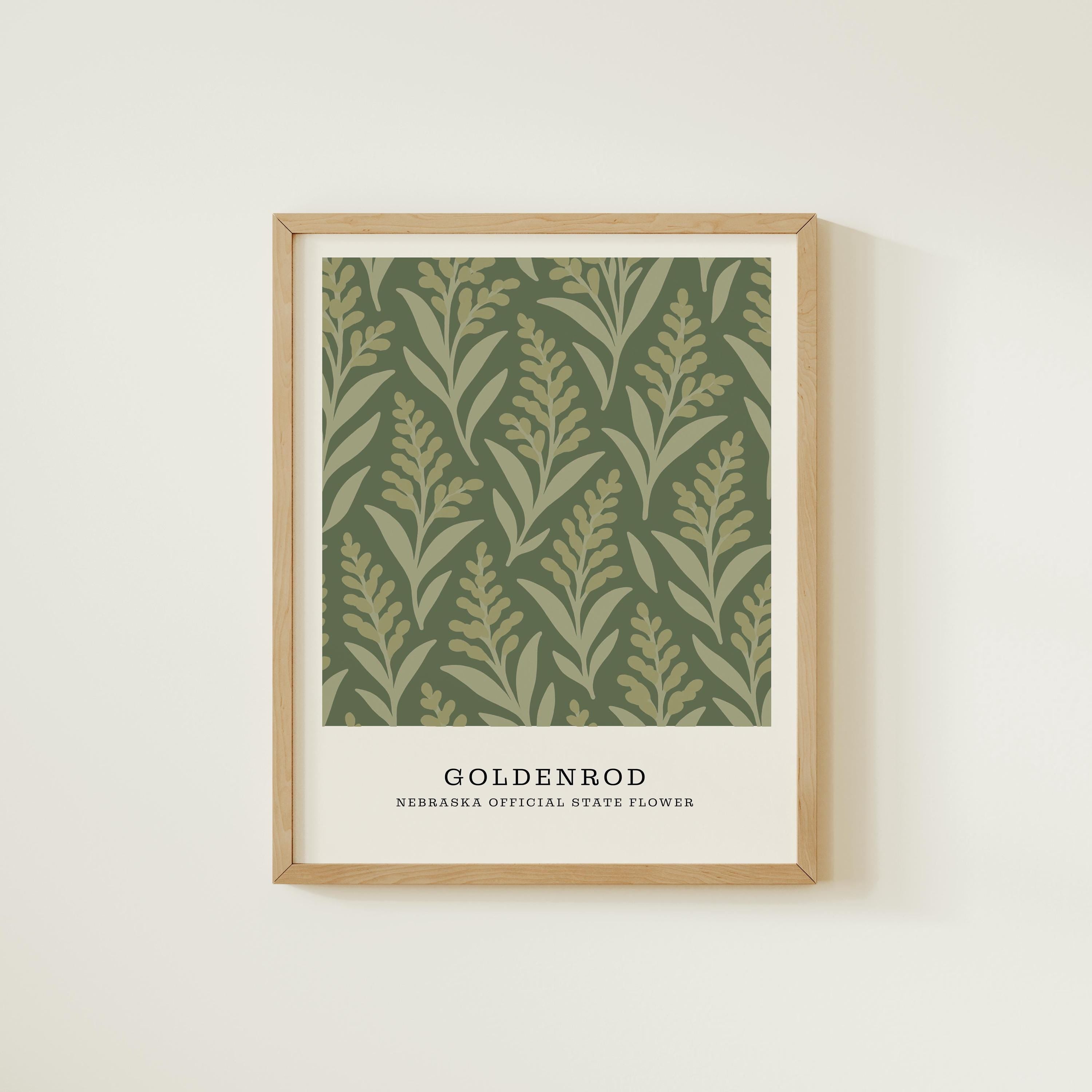 Nebraska state flower art print, goldenrod