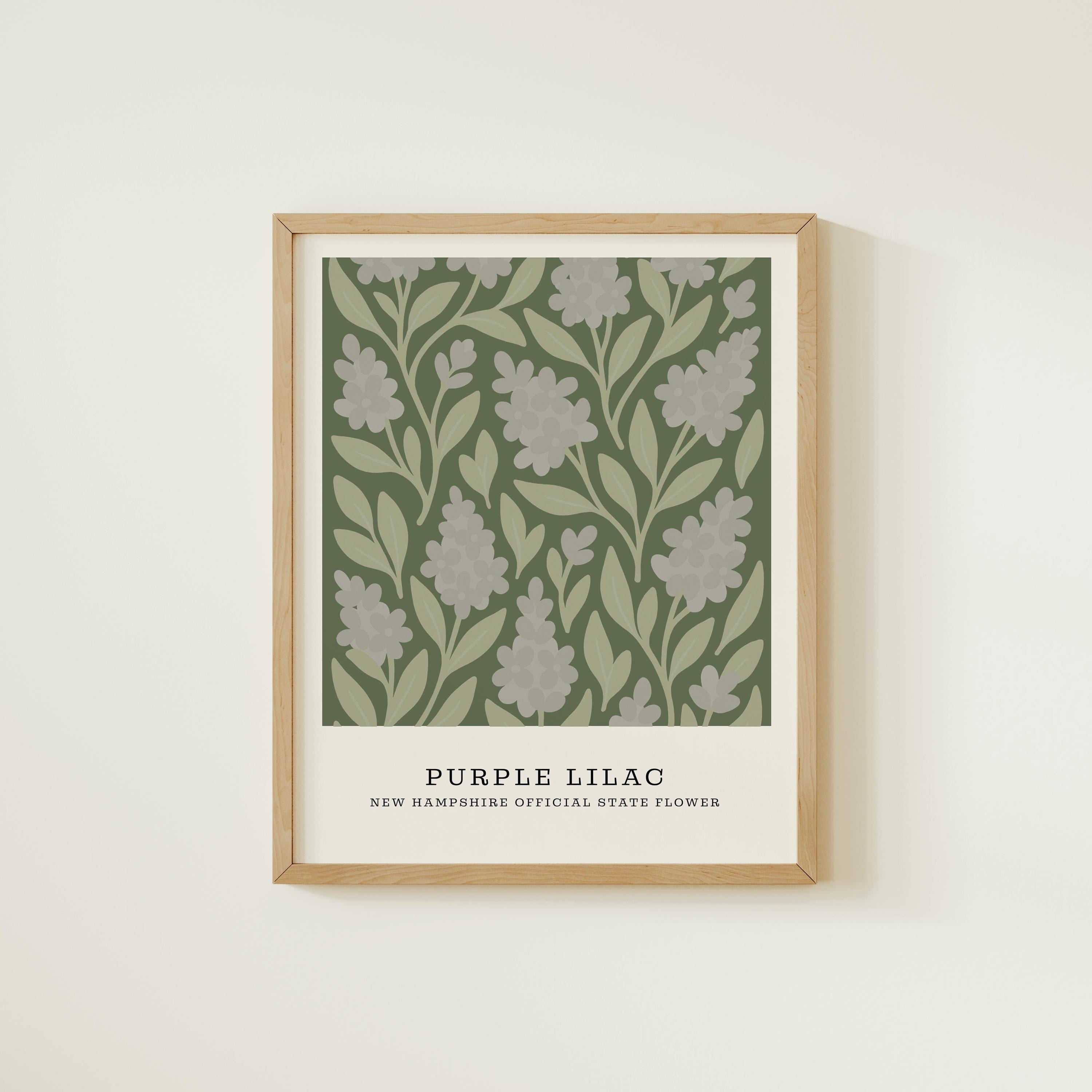 New Hampshire state flower art print, purple lilac