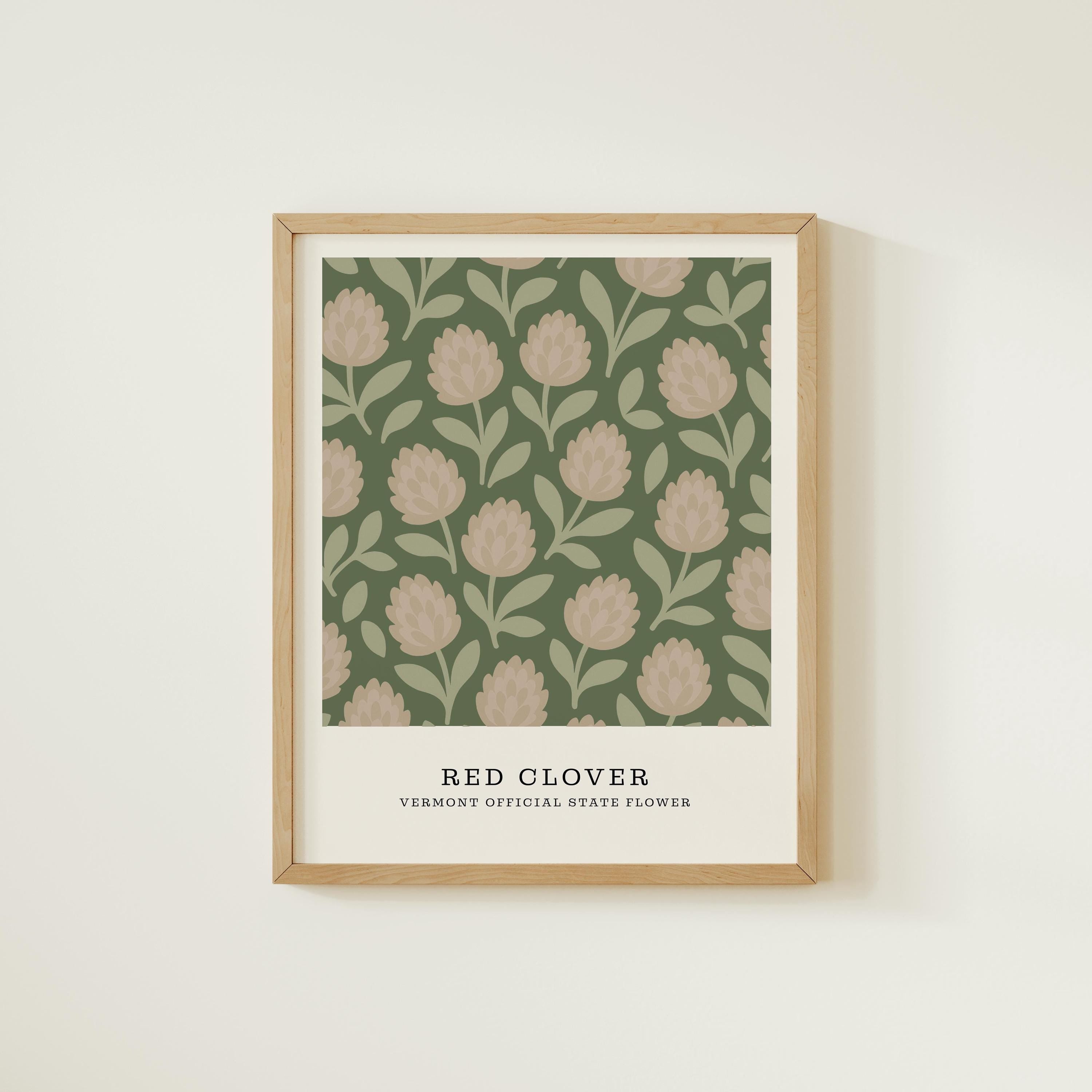 Vermont state flower art print, red clover