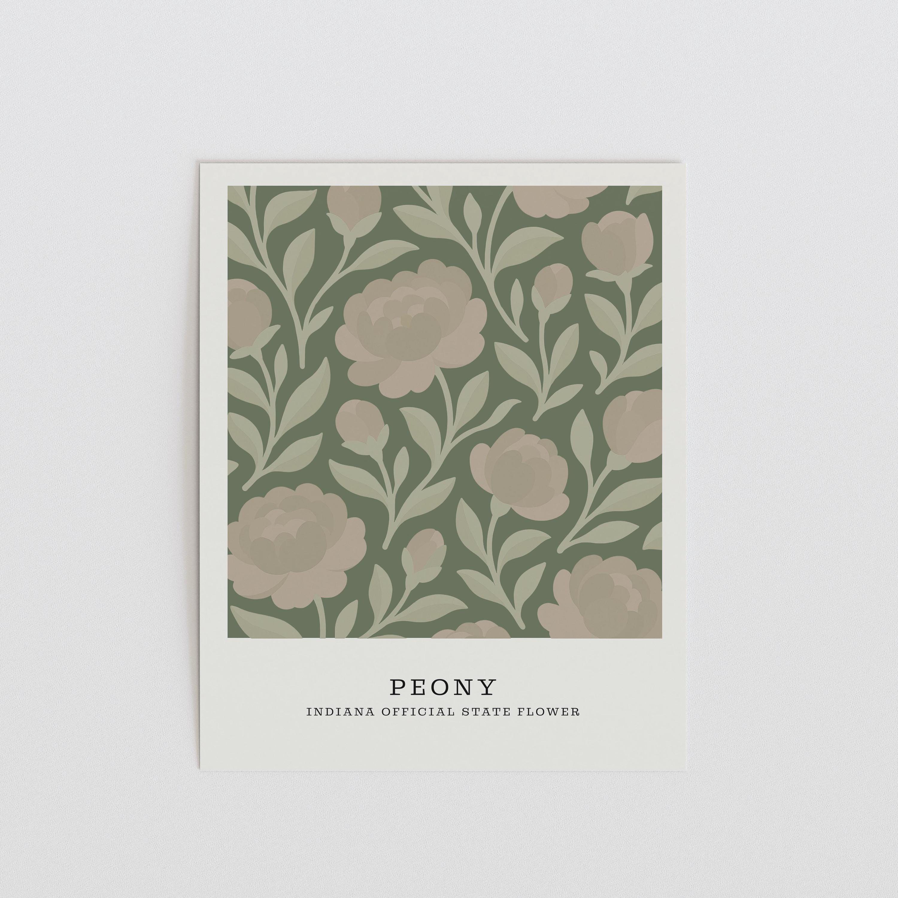 Indiana state flower art print, peony