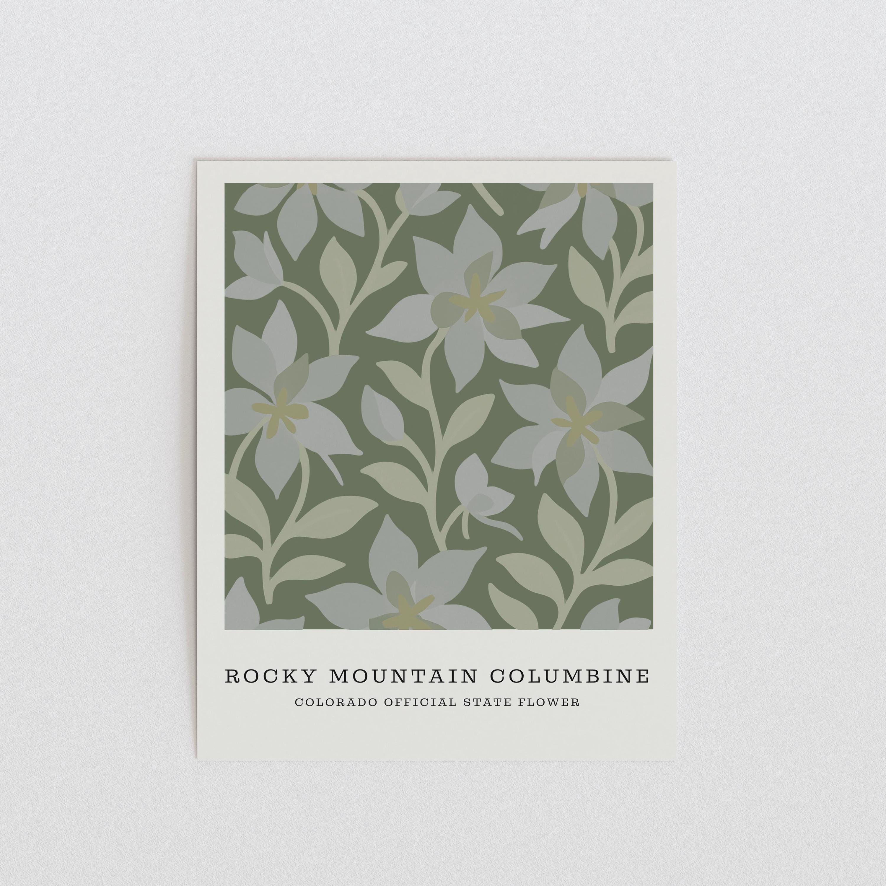 Colorado state flower art print, Rocky Mountain columbine