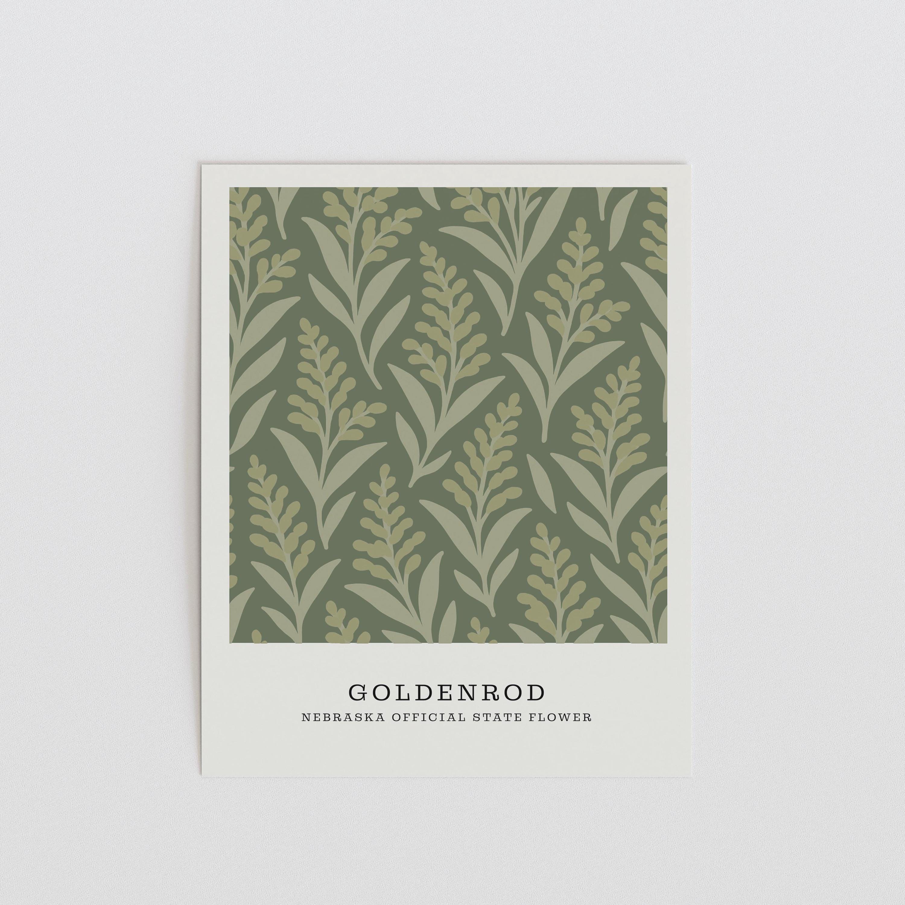 Nebraska state flower art print, goldenrod