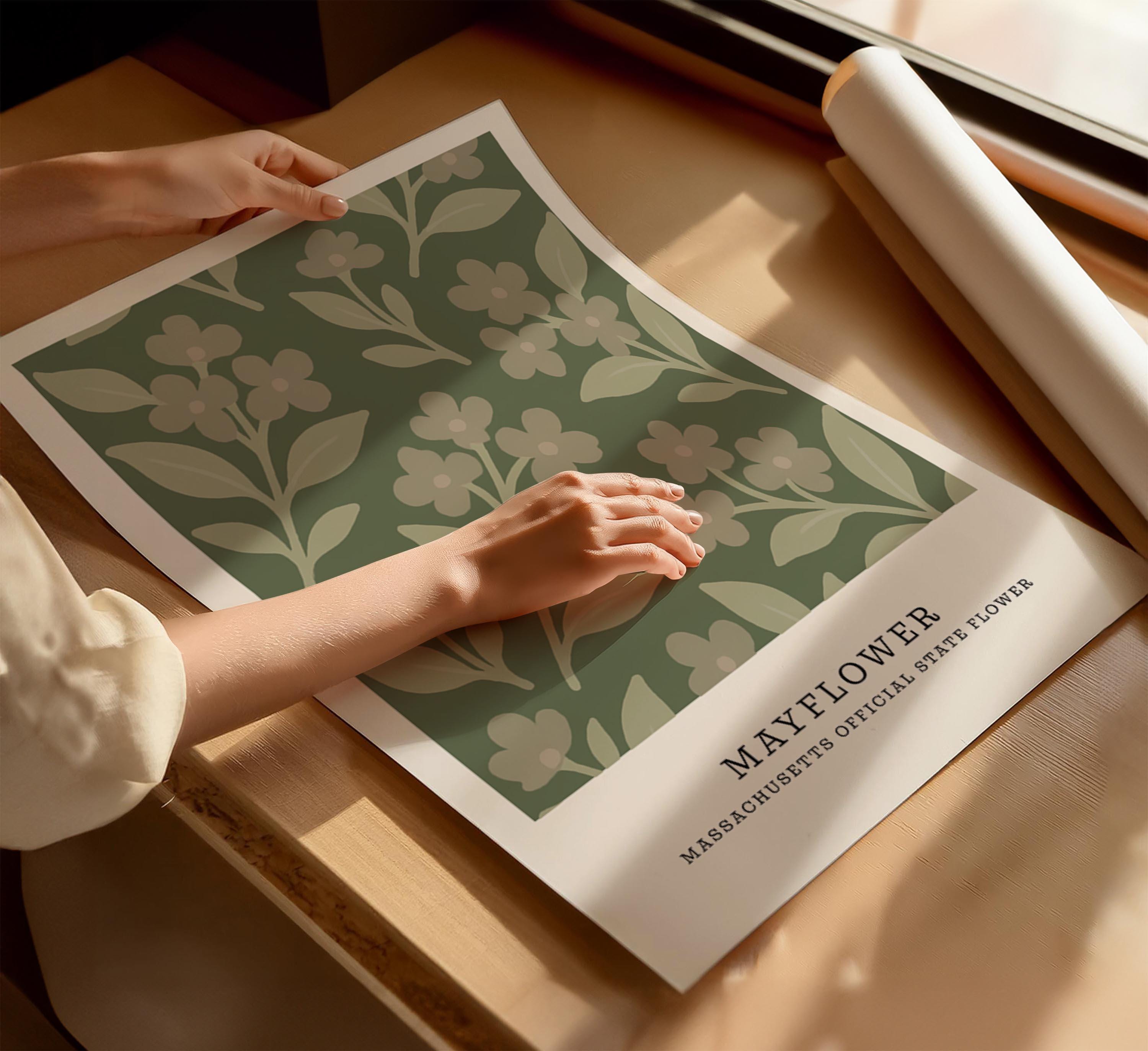 Massachusetts state flower art print, mayflower