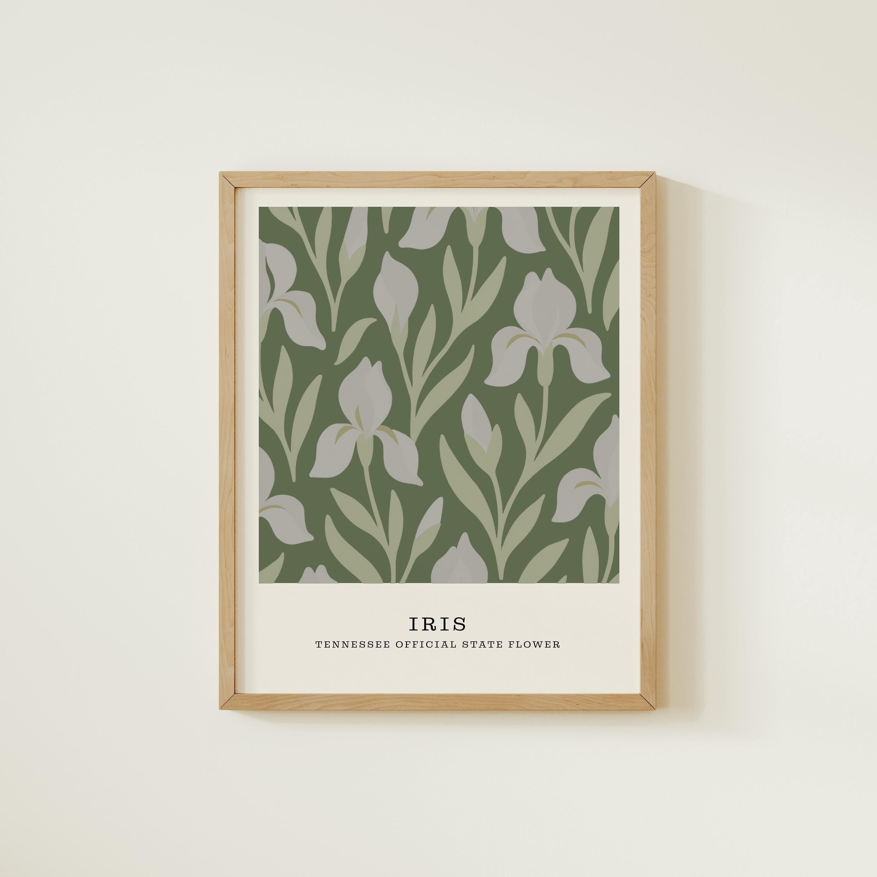Tennessee state flower art print, iris