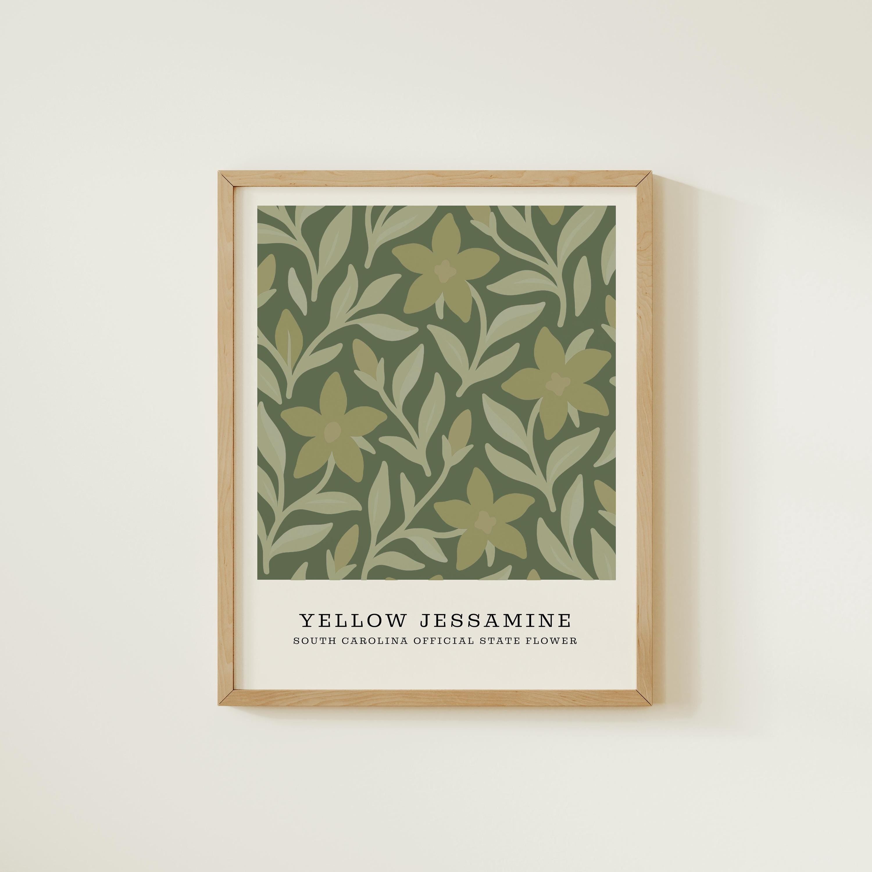 South Carolina state flower art print, yellow jessamine