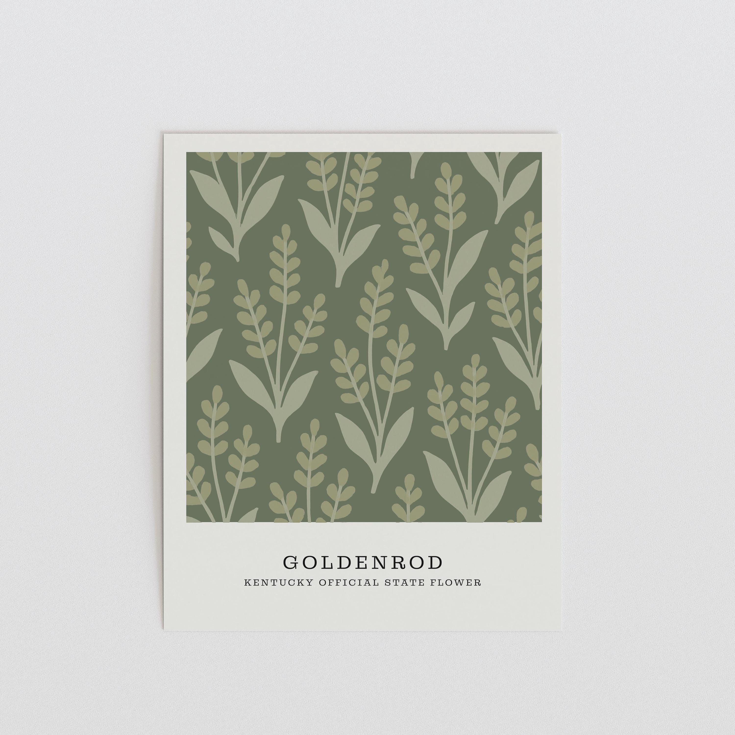 Kentucky state flower art print, goldenrod