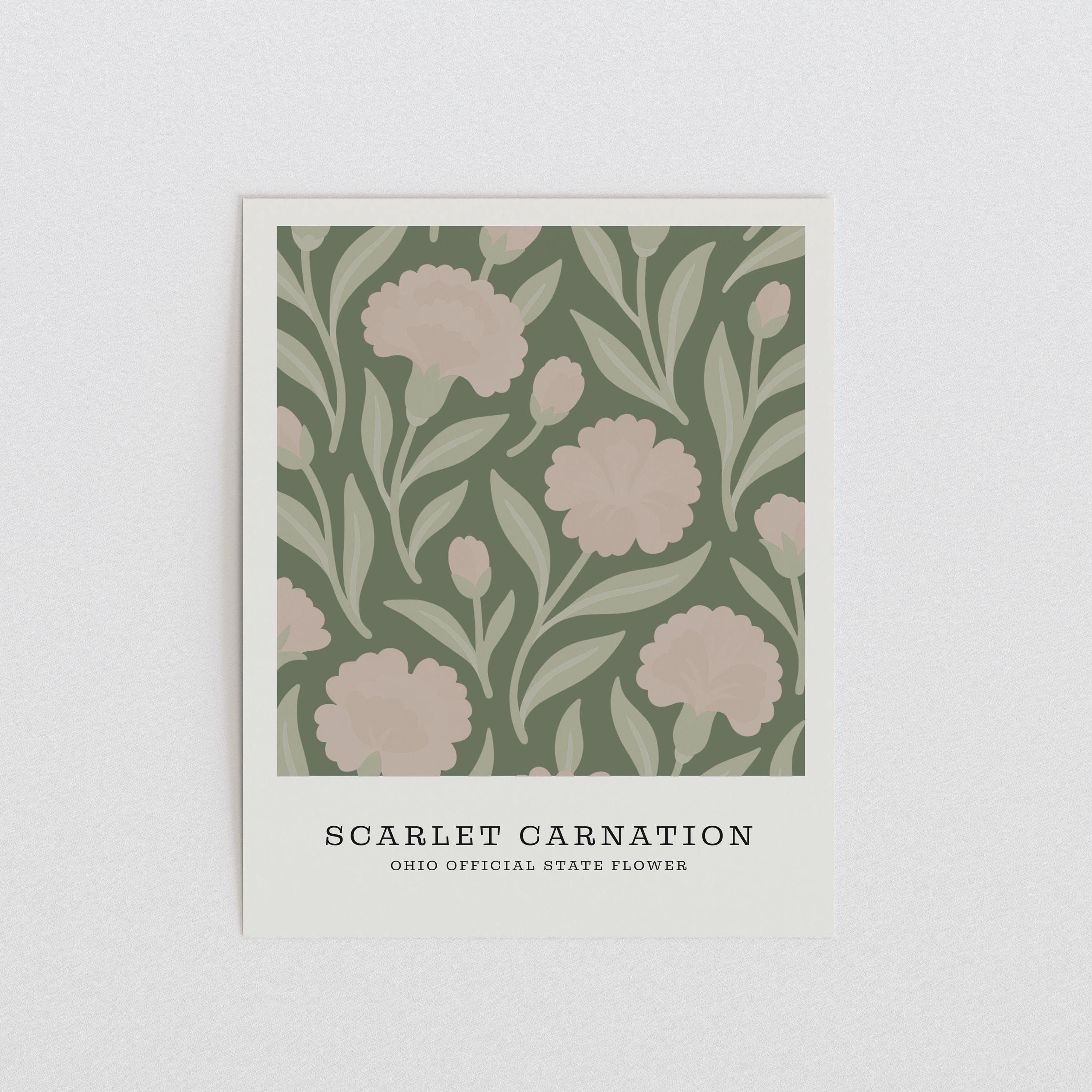 Ohio state flower art print, scarlet carnation