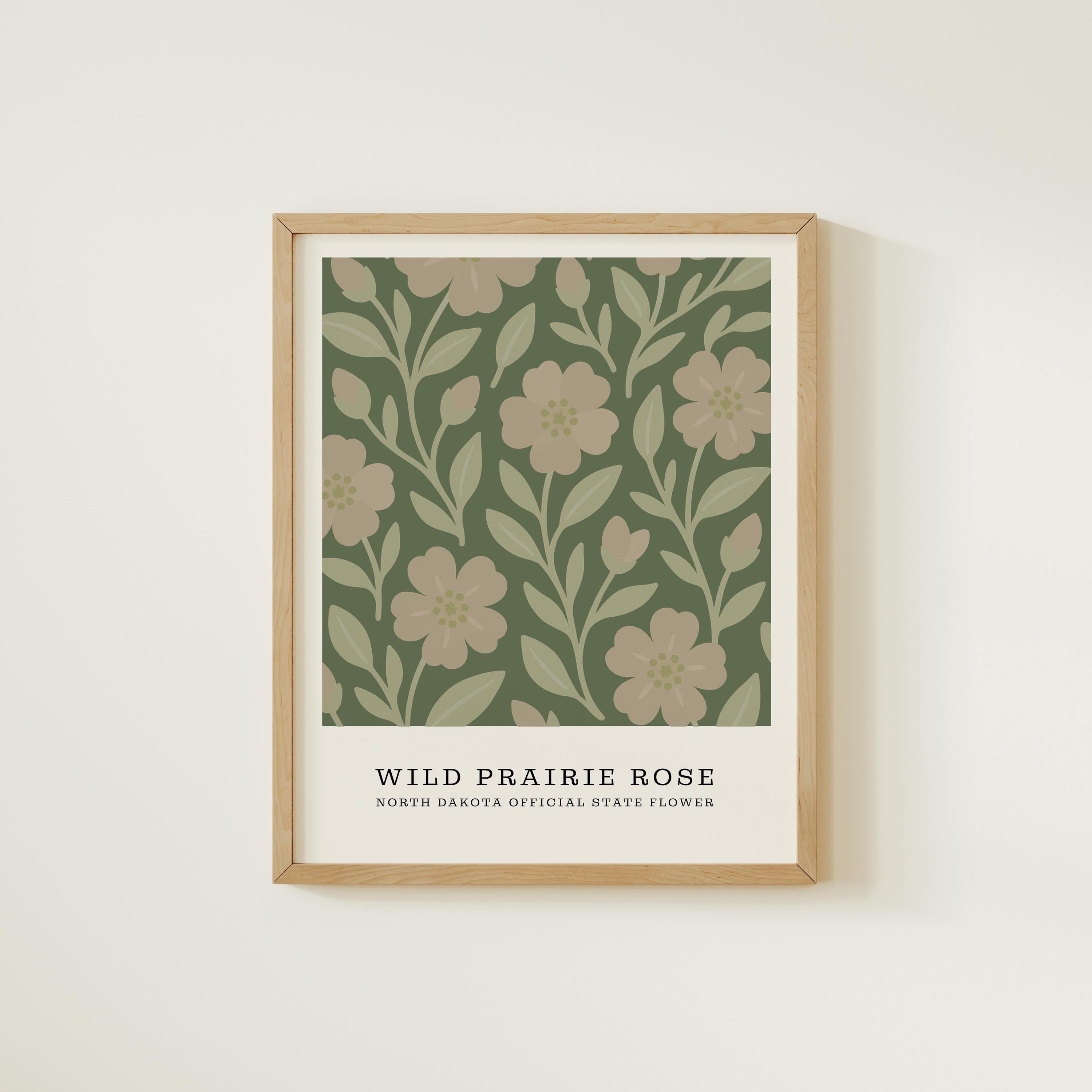 North Dakota state flower art print, wild prairie rose