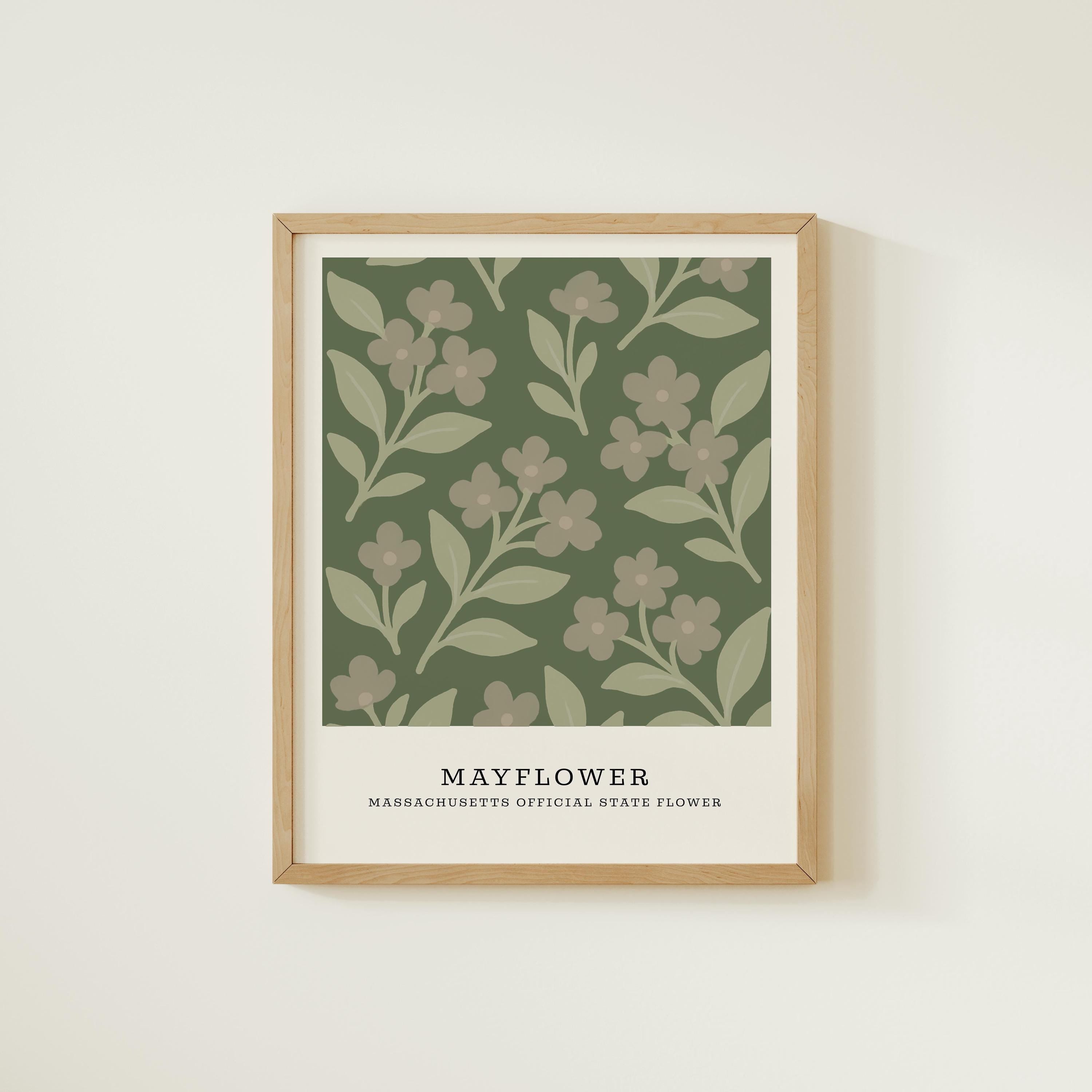 Massachusetts state flower art print, mayflower