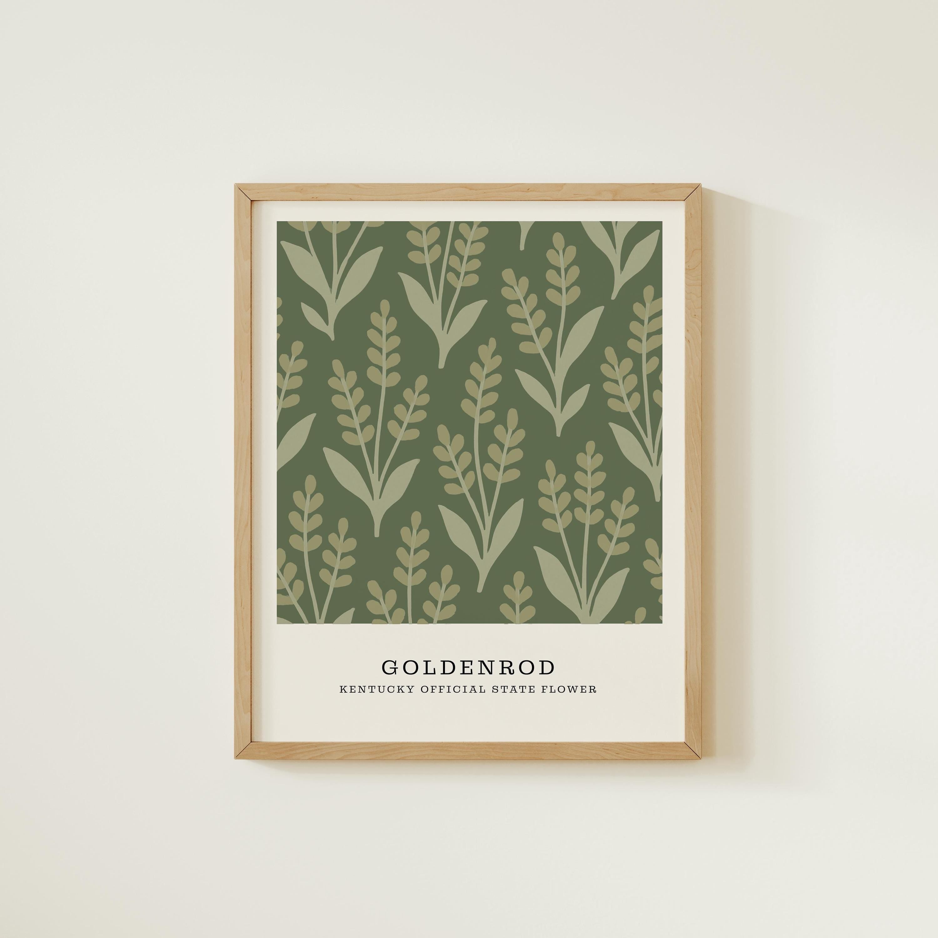 Kentucky state flower art print, goldenrod