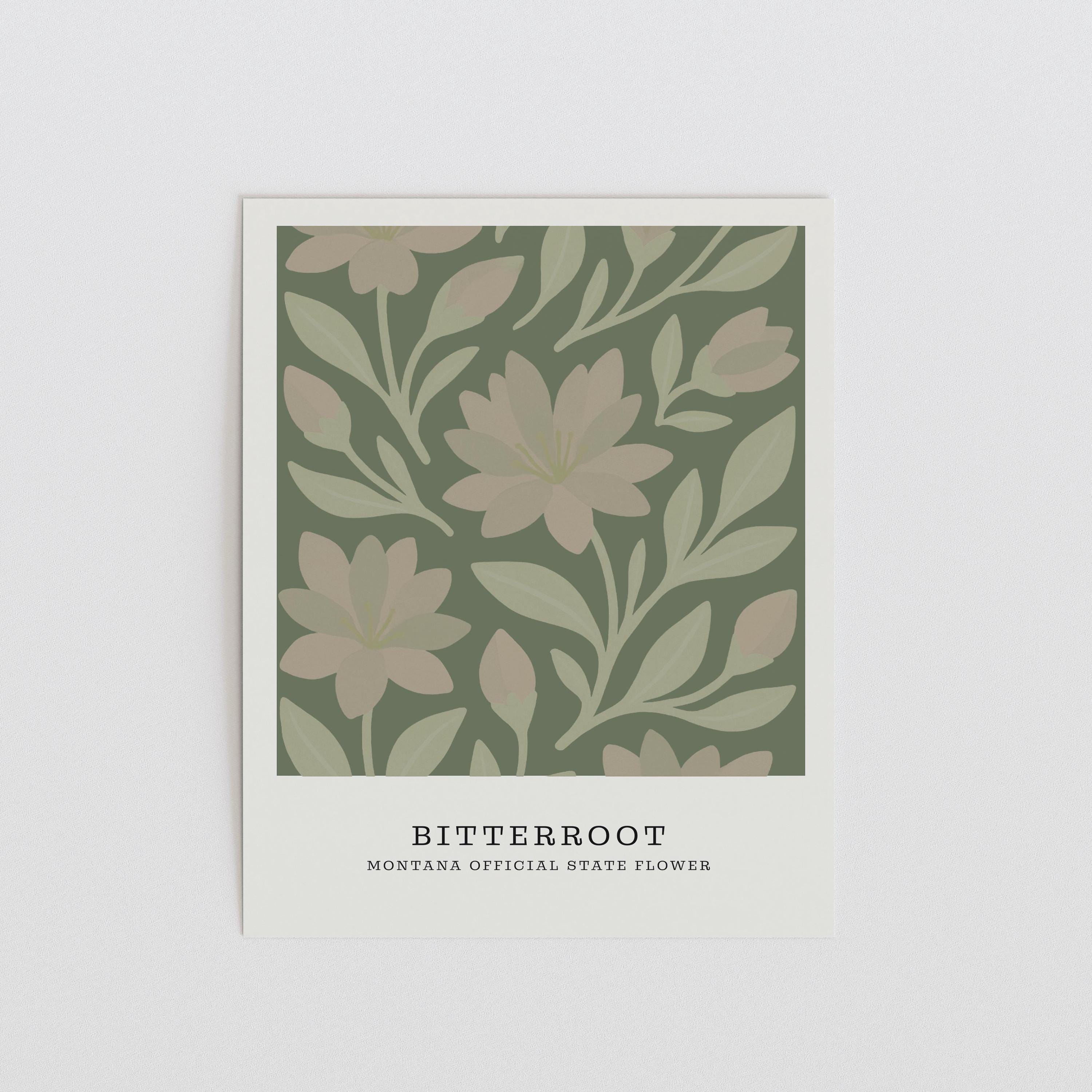 Montana state flower art print, bitterroot