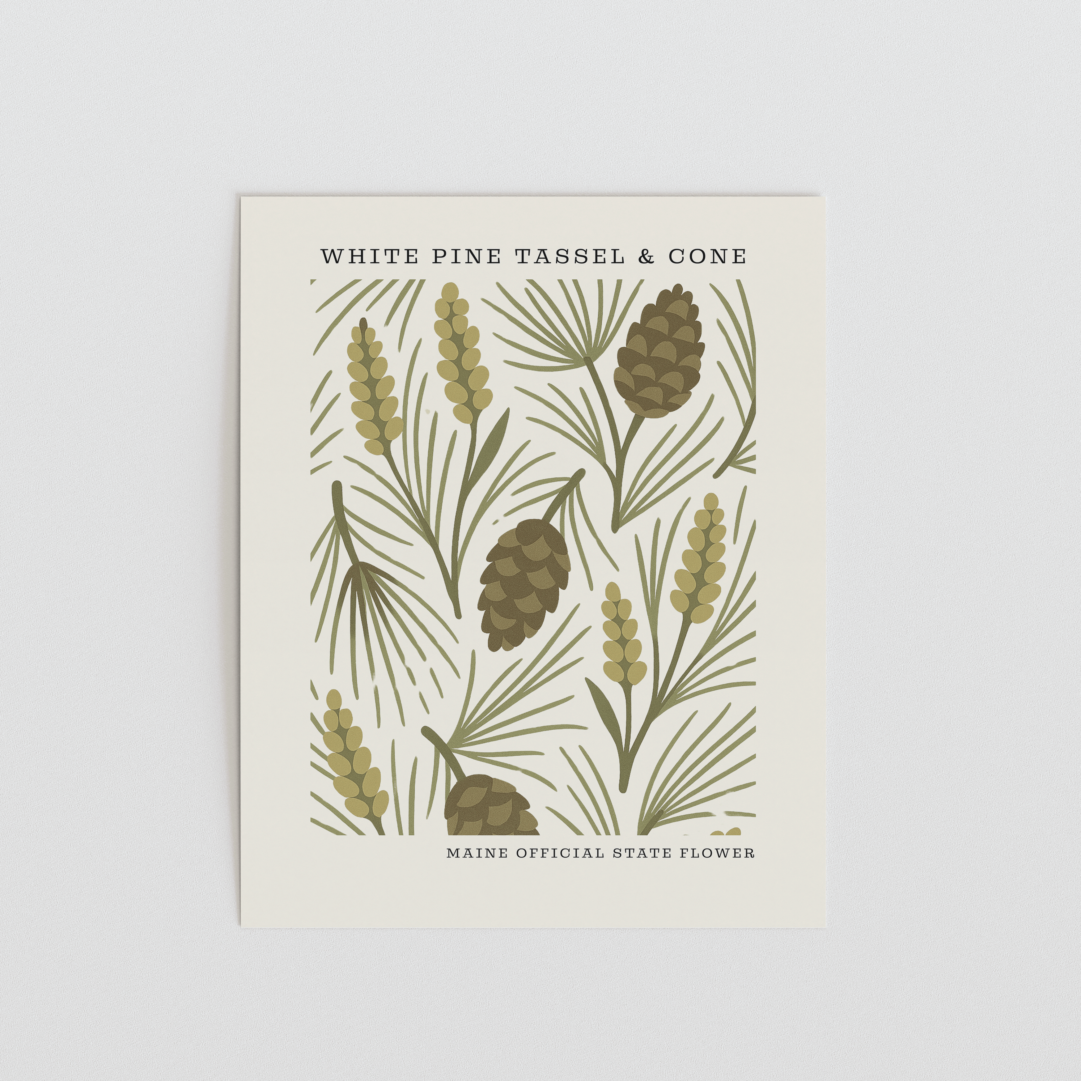 Maine State Flower Art Print – White Pine Cone and Tassel