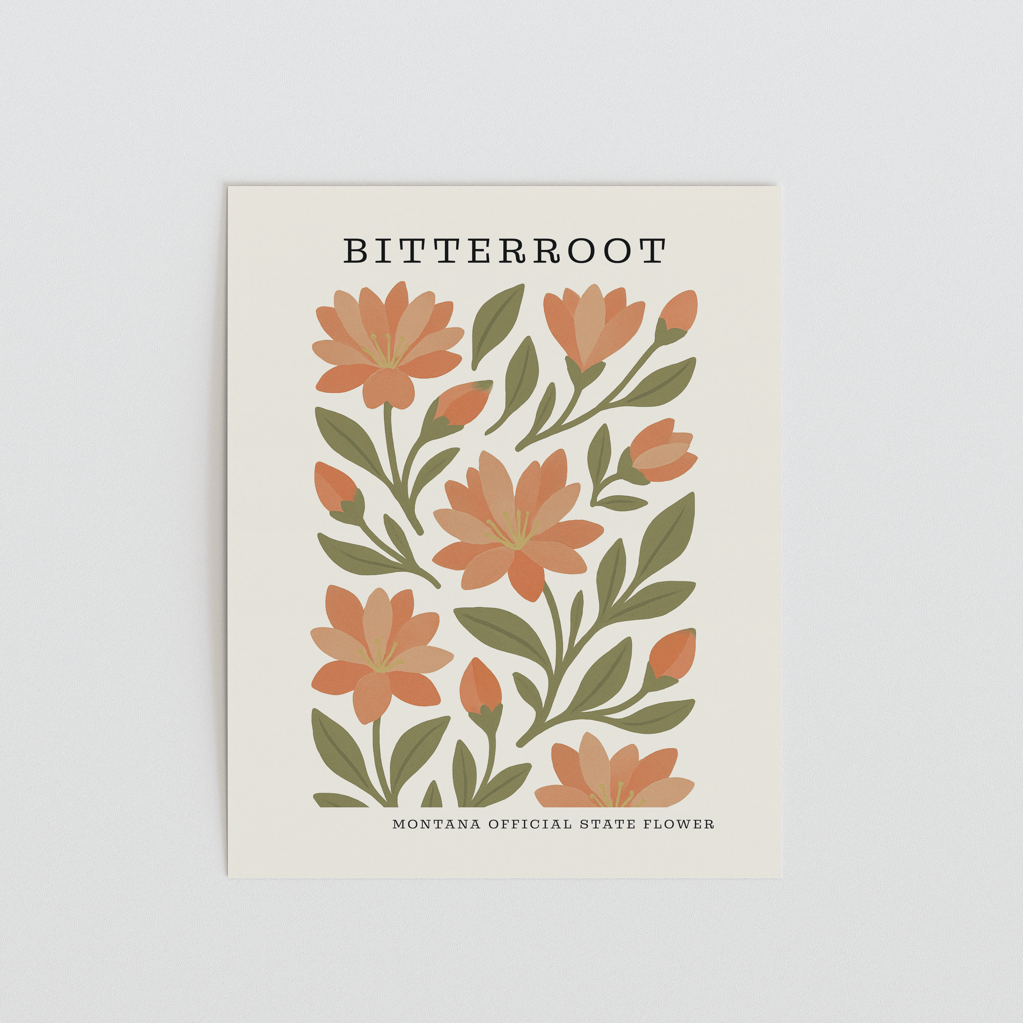 Montana State Flower Art Print – Bitterroot
