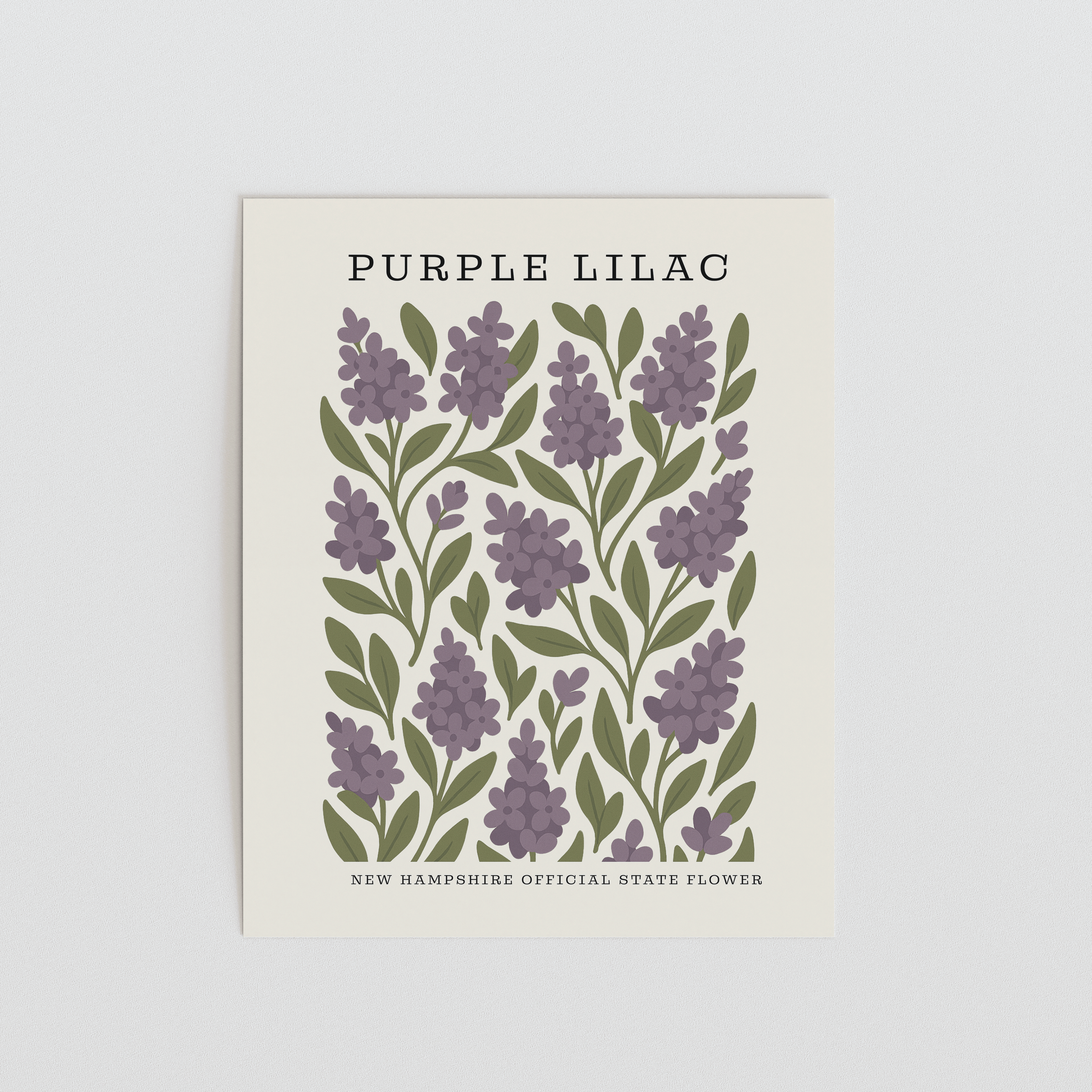 New Hampshire State Flower Art Print – Purple Lilac