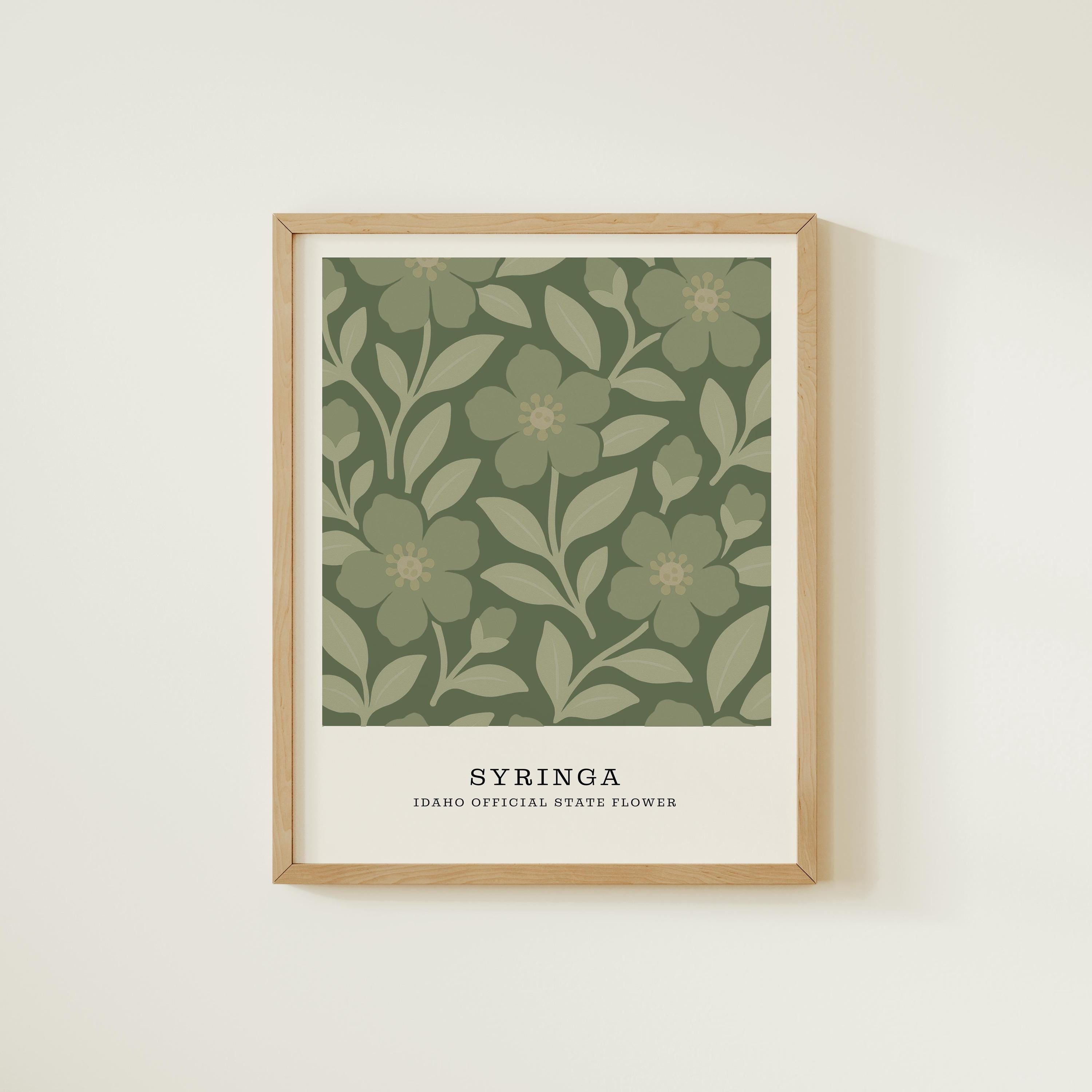 Idaho state flower art print, syringa