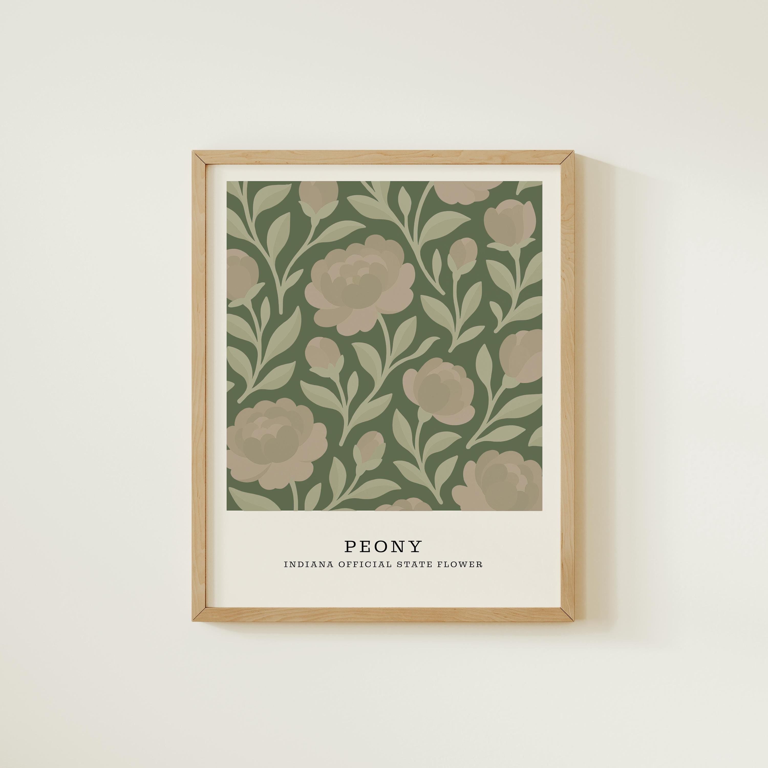 Indiana state flower art print, peony