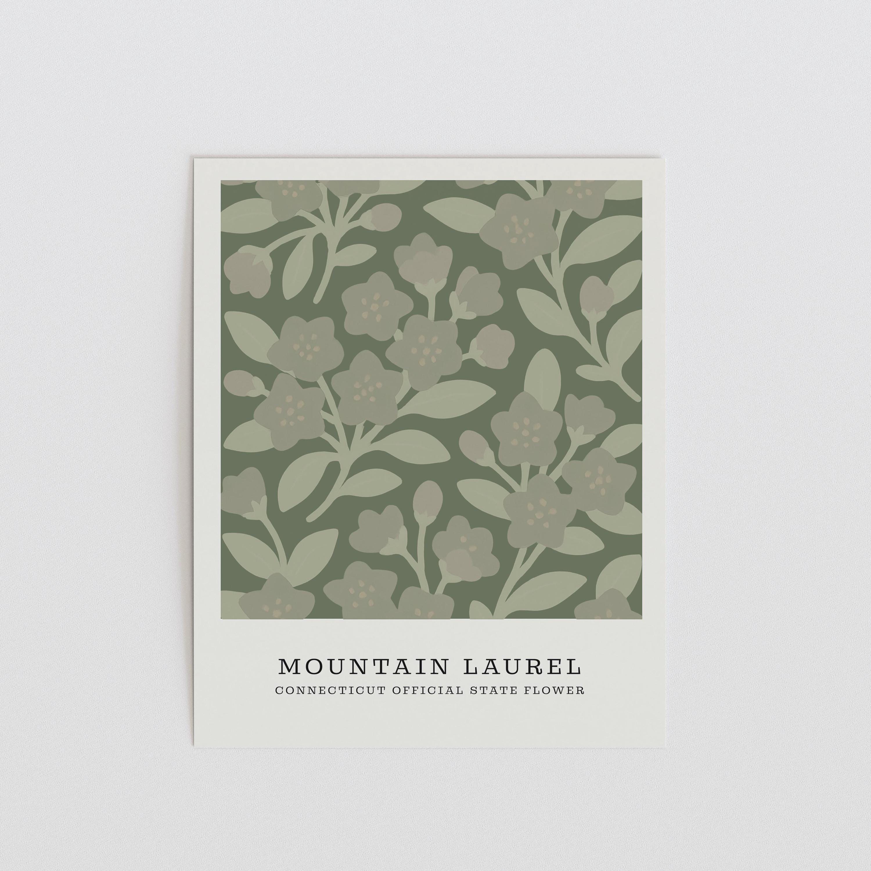 Connecticut state flower art print, mountain laurel