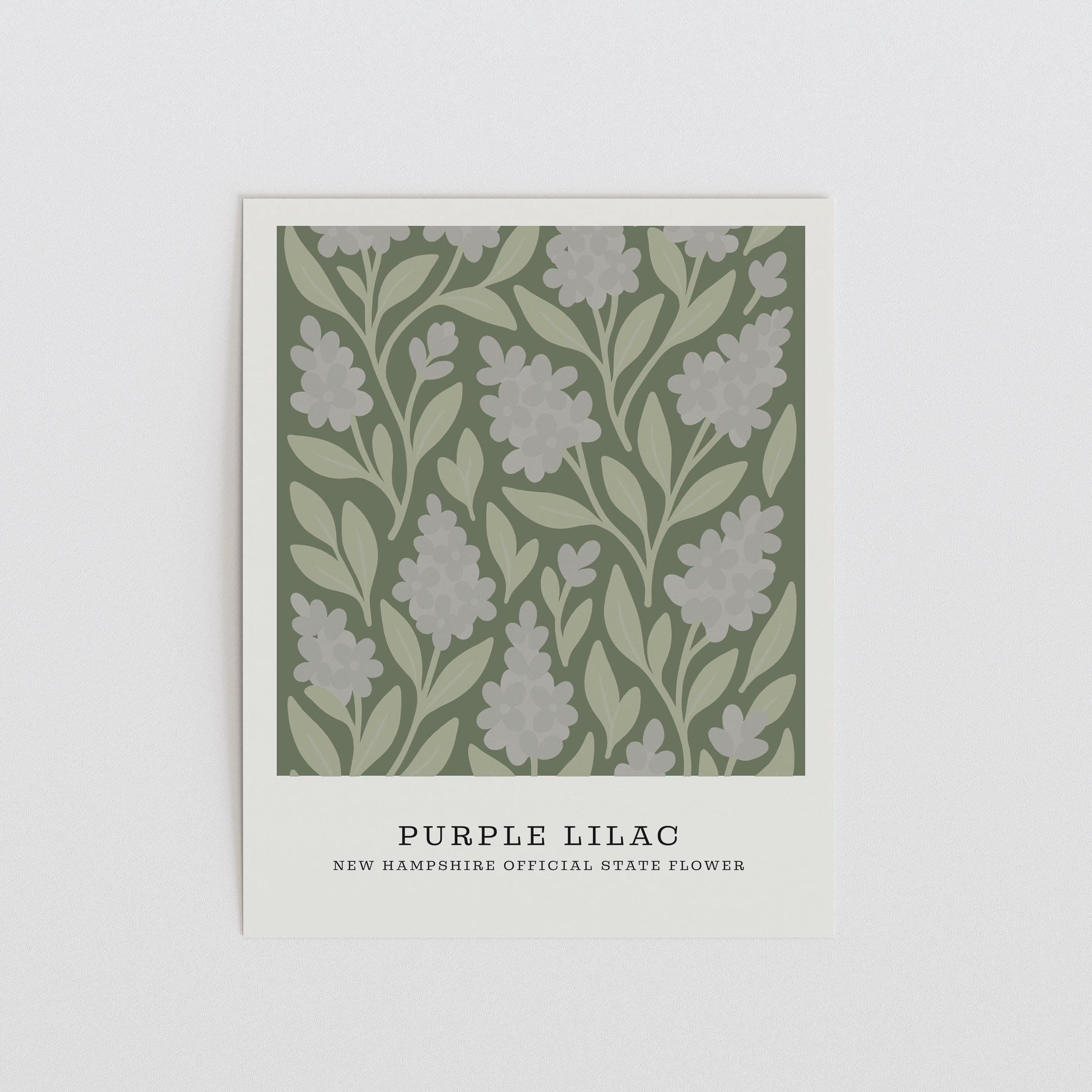 New Hampshire state flower art print, purple lilac
