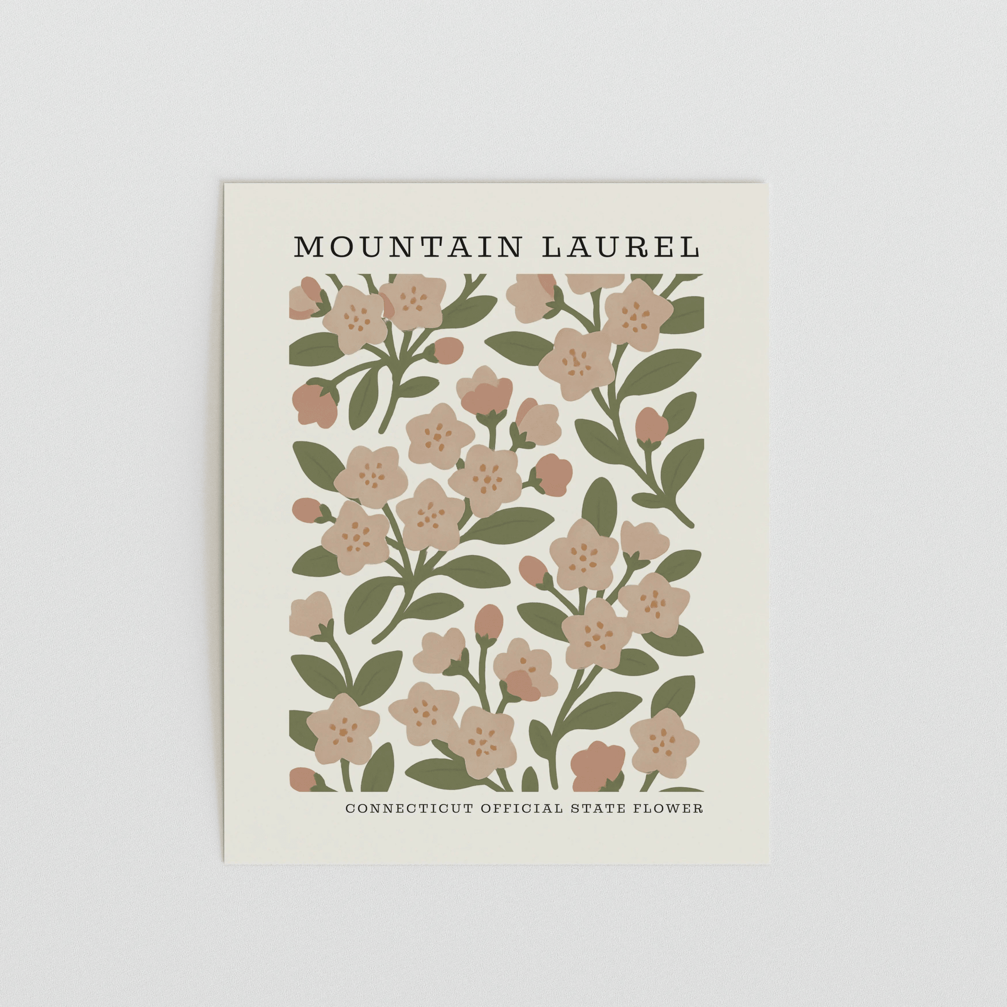Connecticut State Flower Art Print – Mountain Laurel - The FlatFile Society