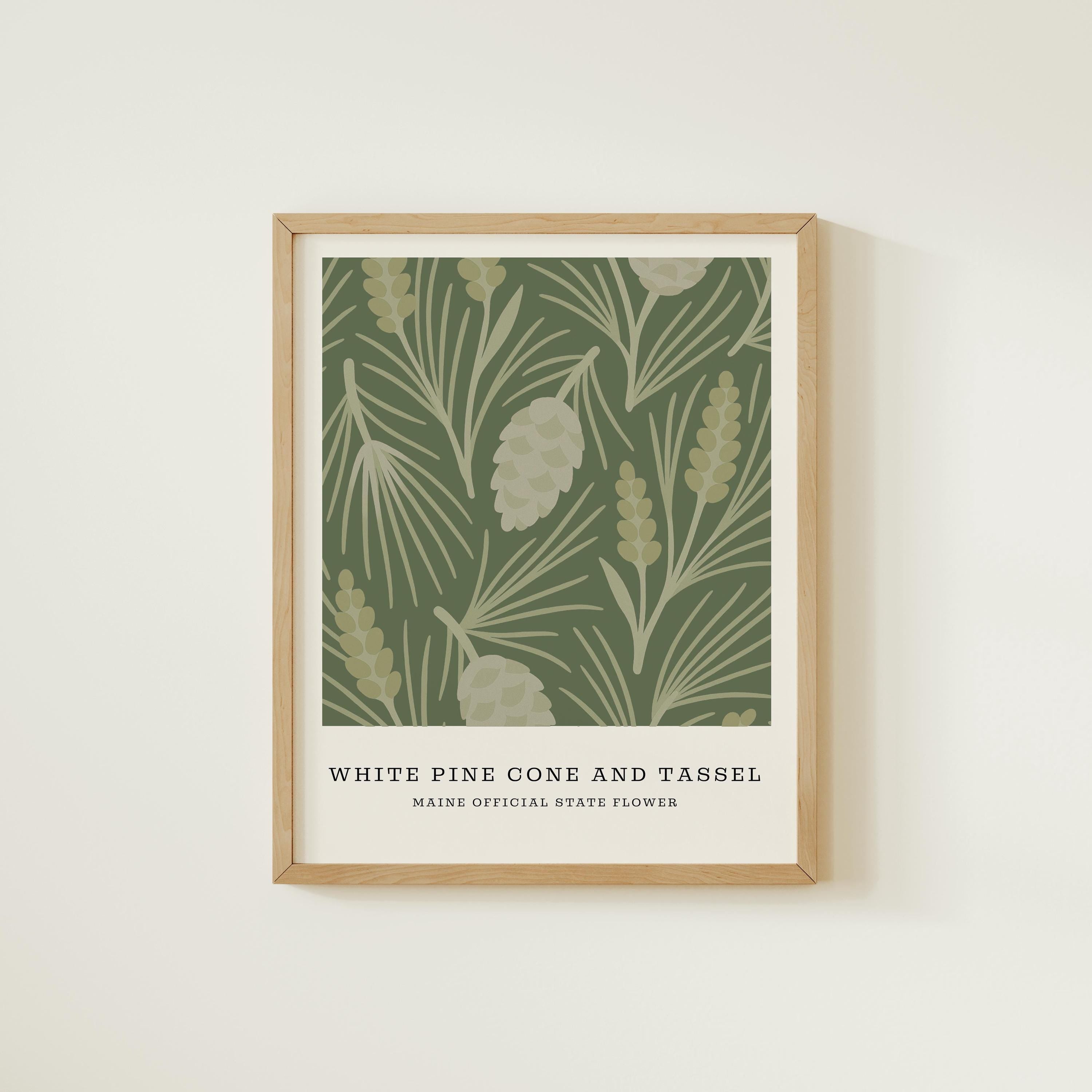 Maine state flower art print, white pine cone and tassel