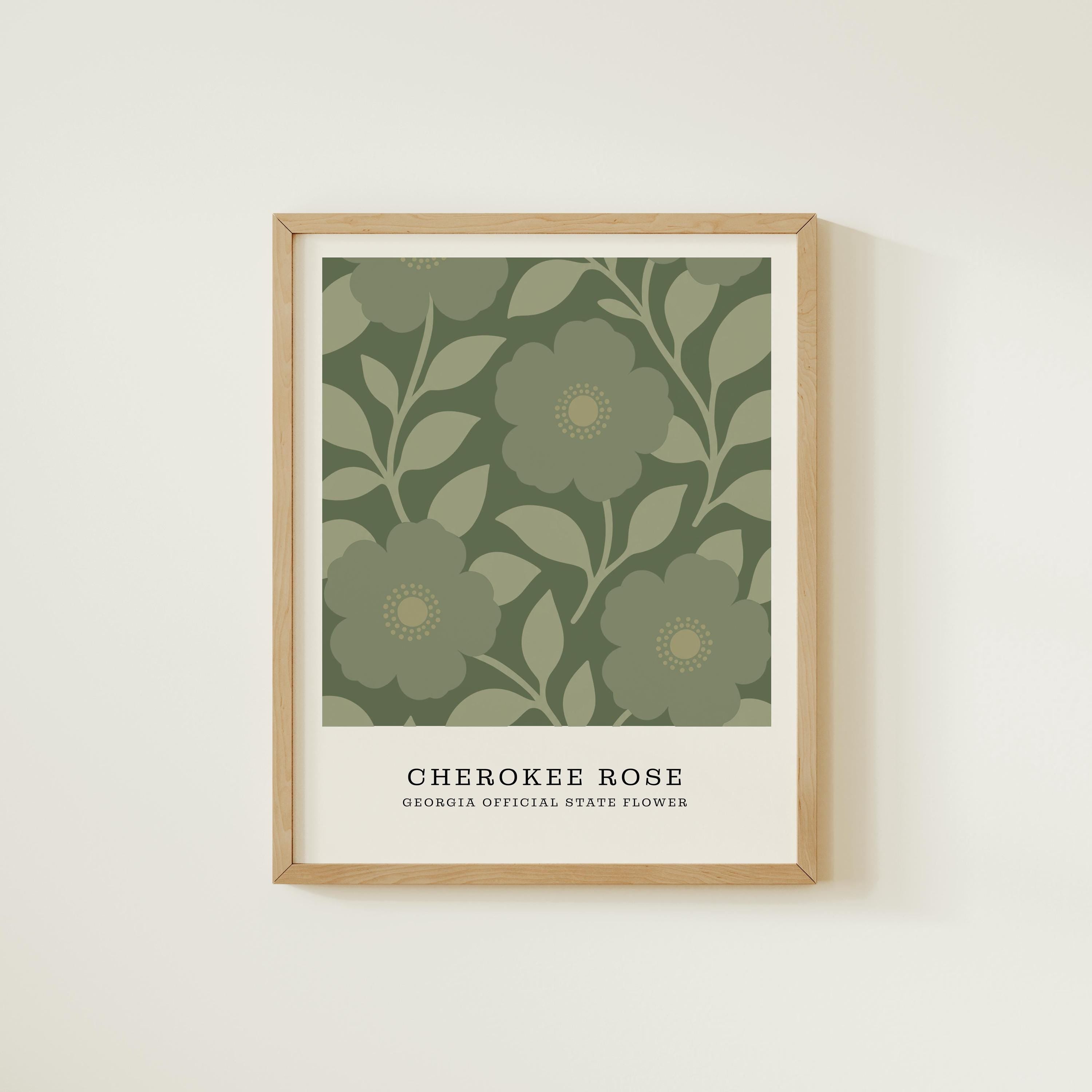 Georgia state flower art print, Cherokee rose