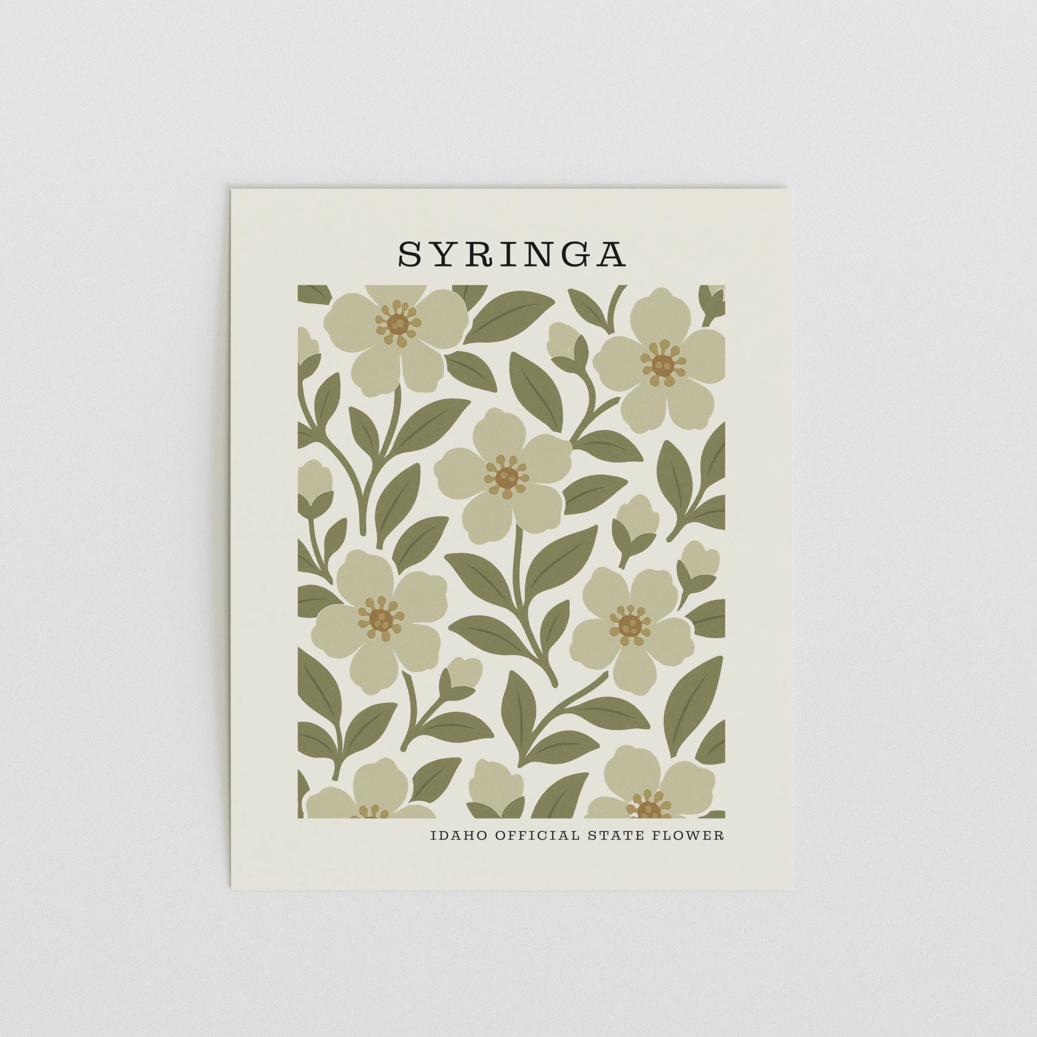 Idaho State Flower Art Print – Syringa - The FlatFile Society