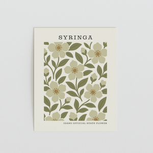 Idaho State Flower Art Print – Syringa - The FlatFile Society