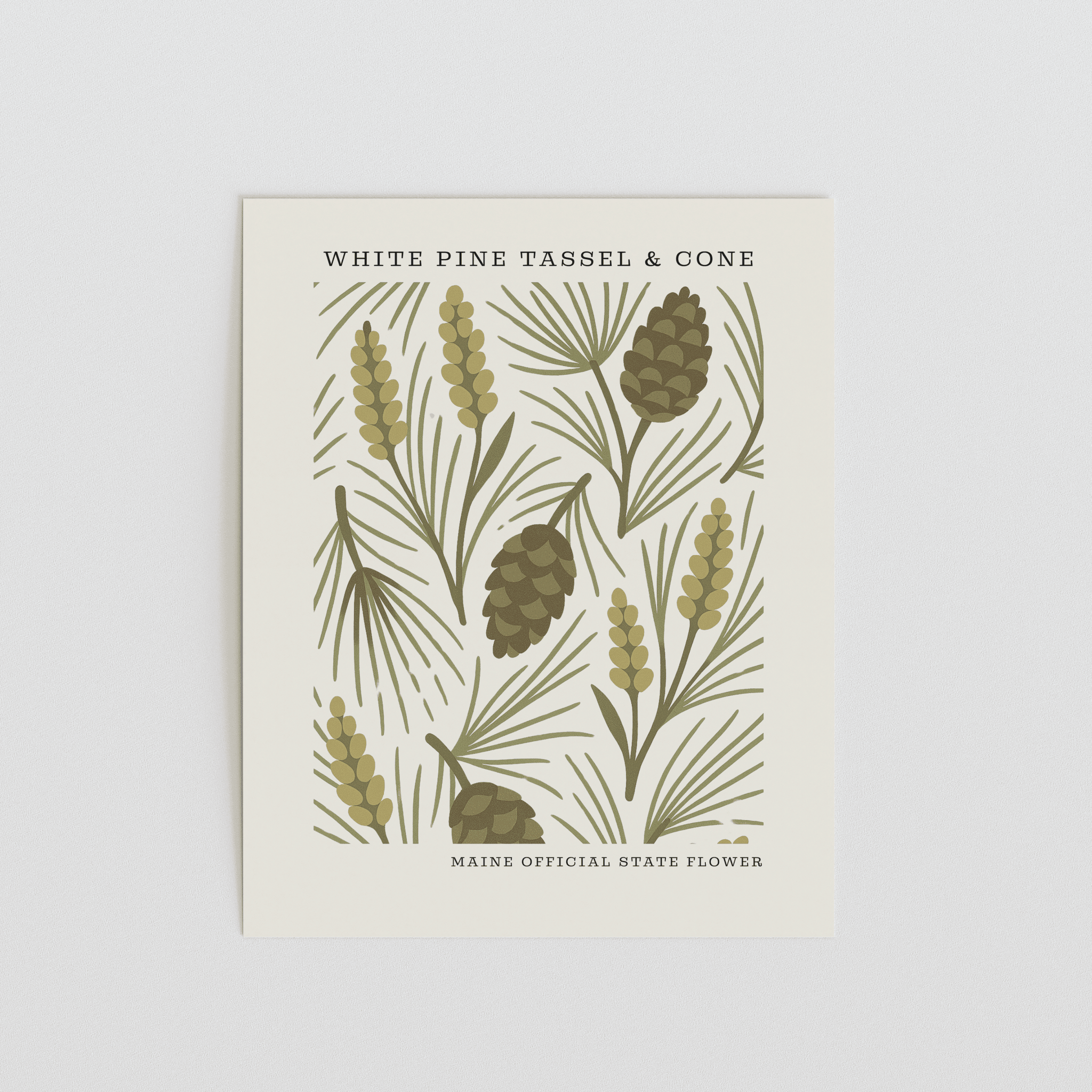 Maine State Flower Art Print – White Pine Cone and Tassel - The FlatFile Society