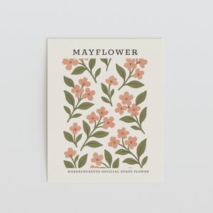 Massachusetts State Flower Art Print – Mayflower - The FlatFile Society