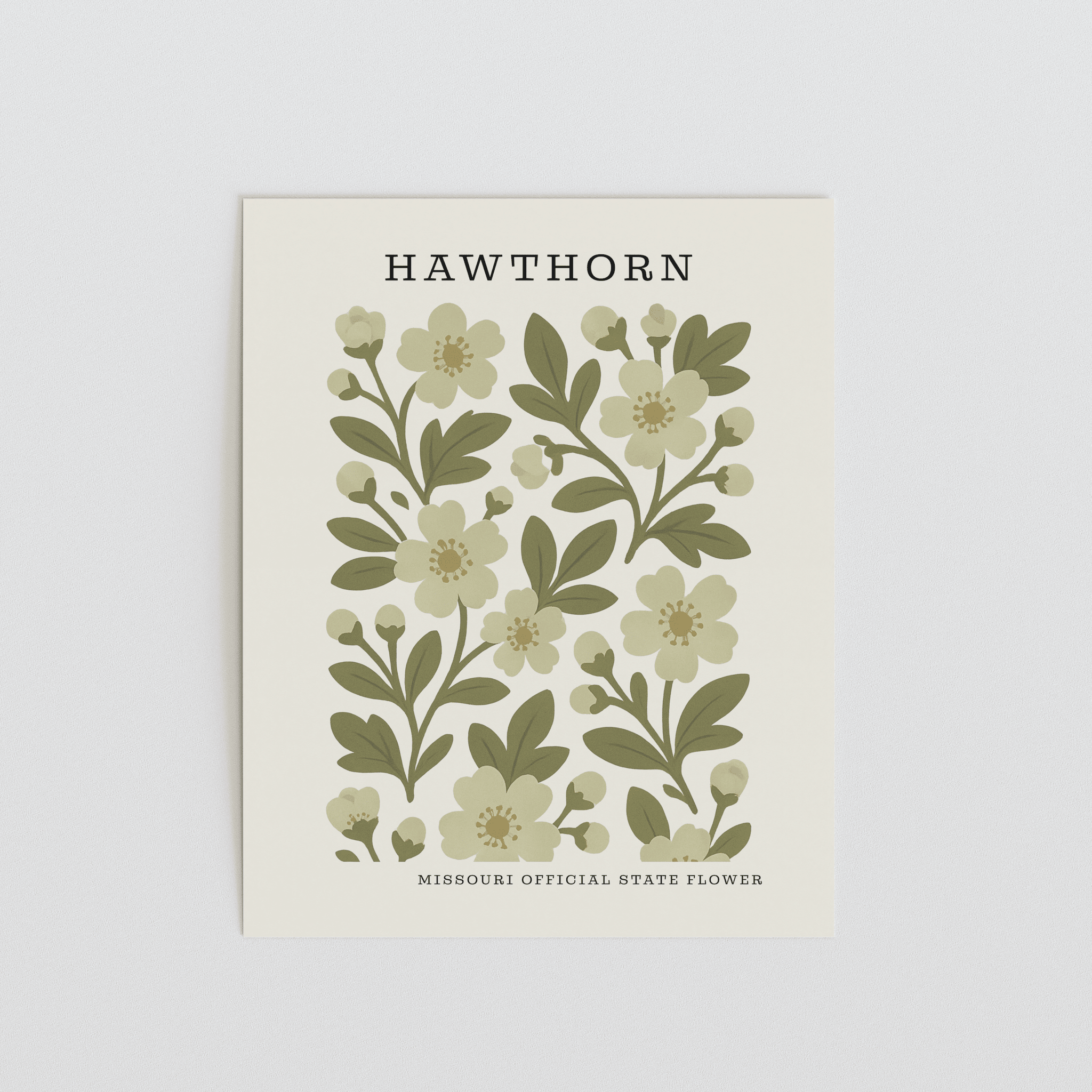 Missouri State Flower Art Print – Hawthorn - The FlatFile Society