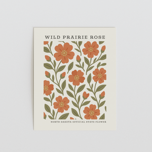 North Dakota State Flower Art Print – Wild Prairie Rose - The FlatFile Society
