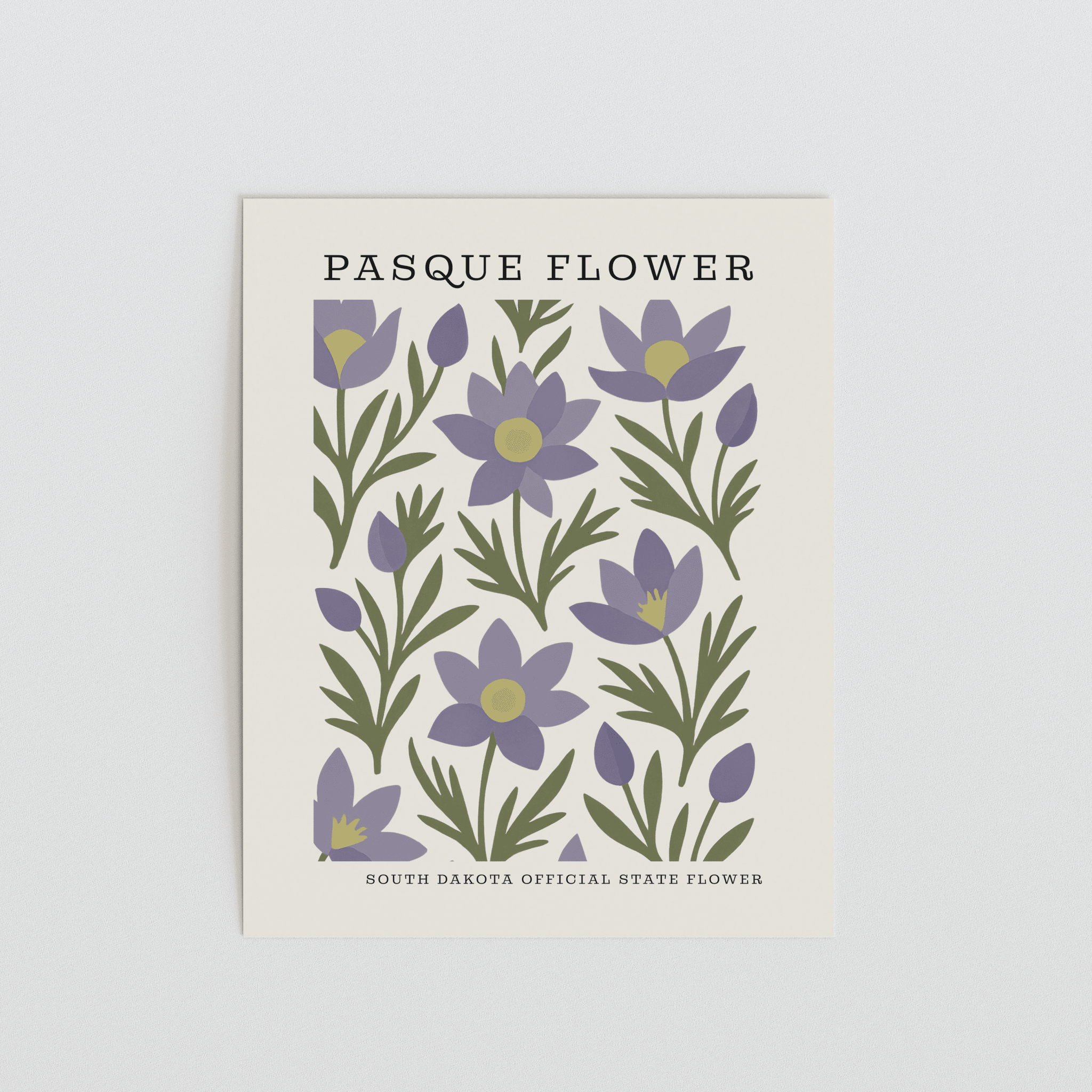 South Dakota State Flower Art Print – Pasque Flower - The FlatFile Society