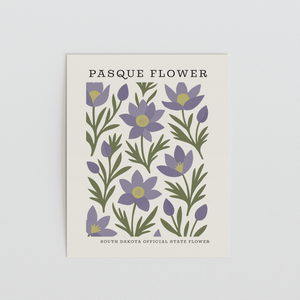 South Dakota State Flower Art Print – Pasque Flower - The FlatFile Society